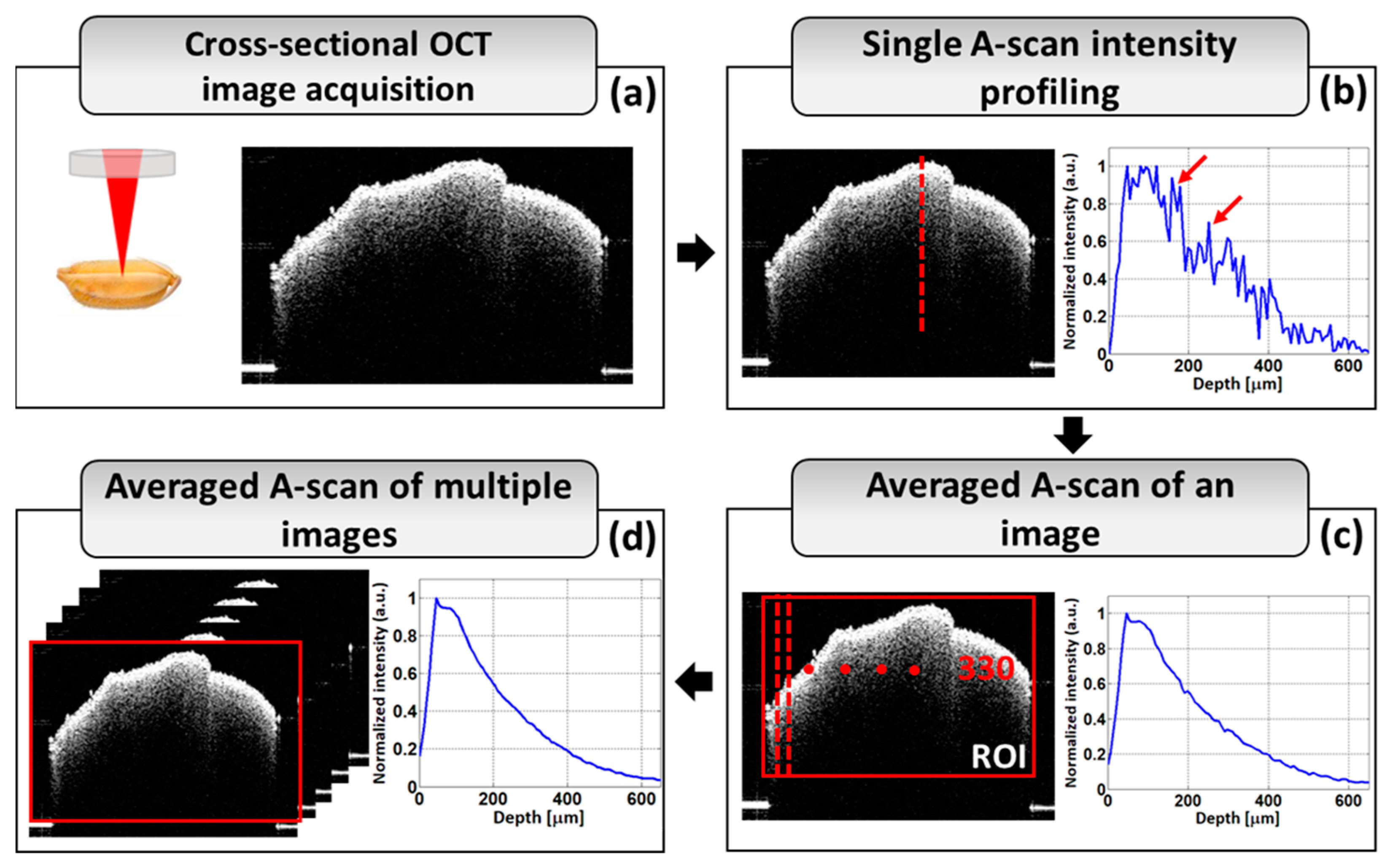 Sensors 24 00219 g002