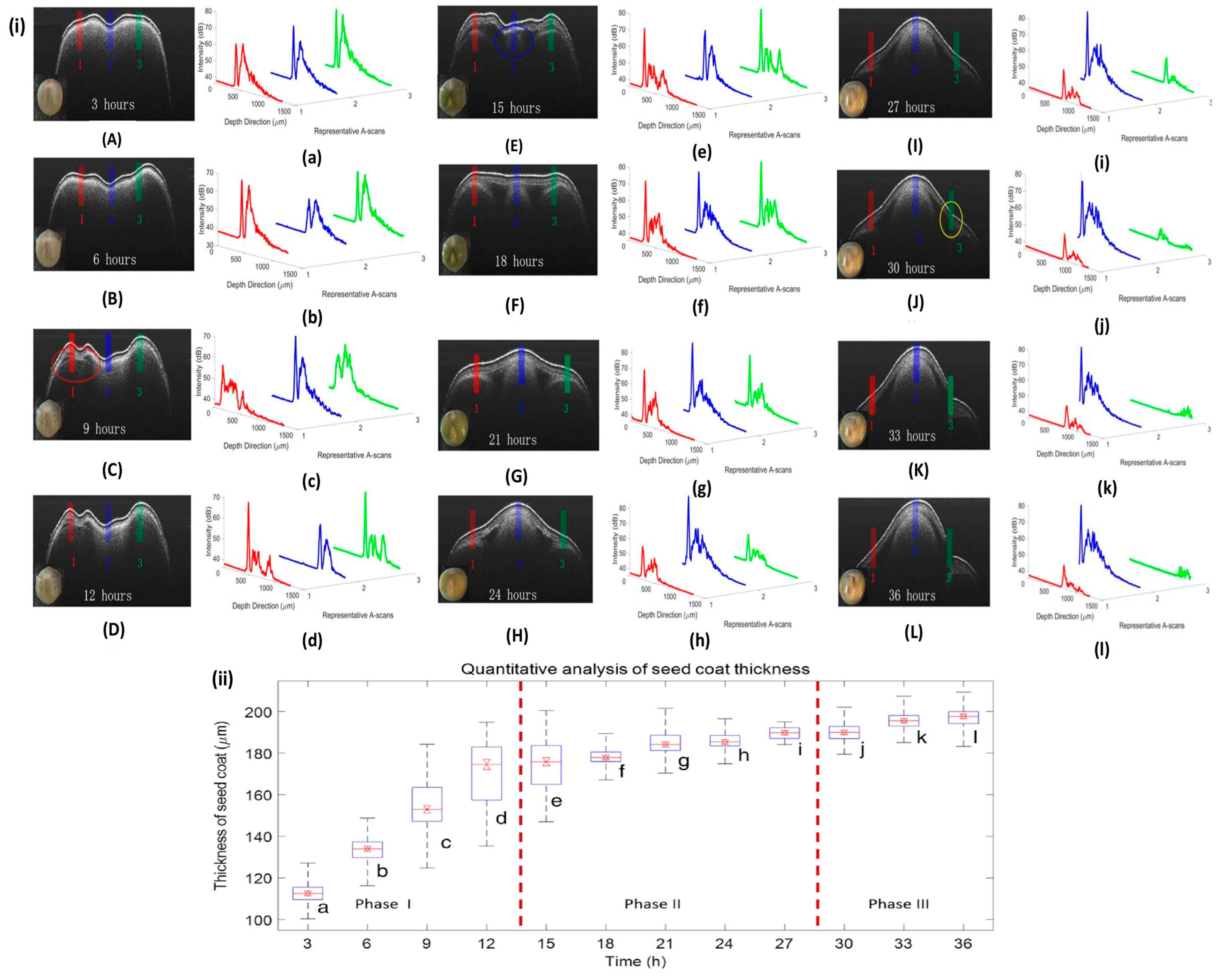 Sensors 24 00219 g005