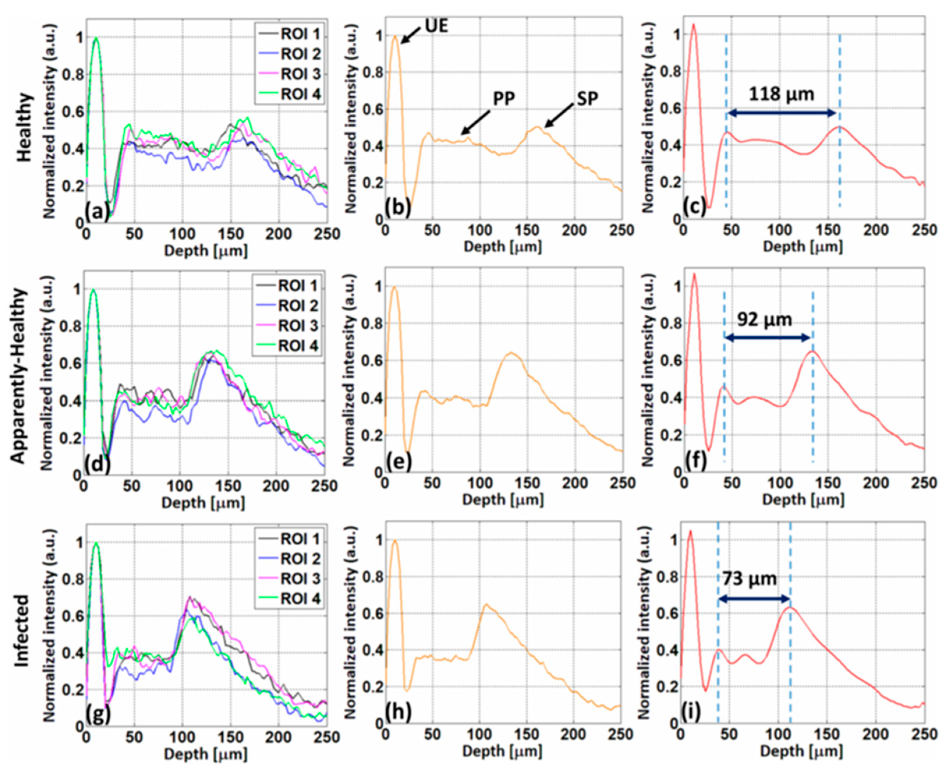 Sensors 24 00219 g007
