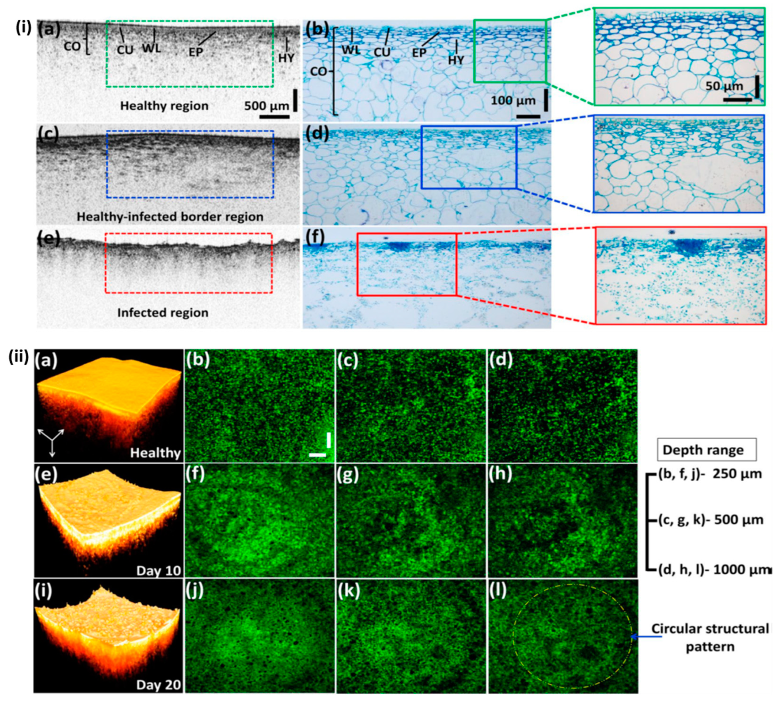 Sensors 24 00219 g008