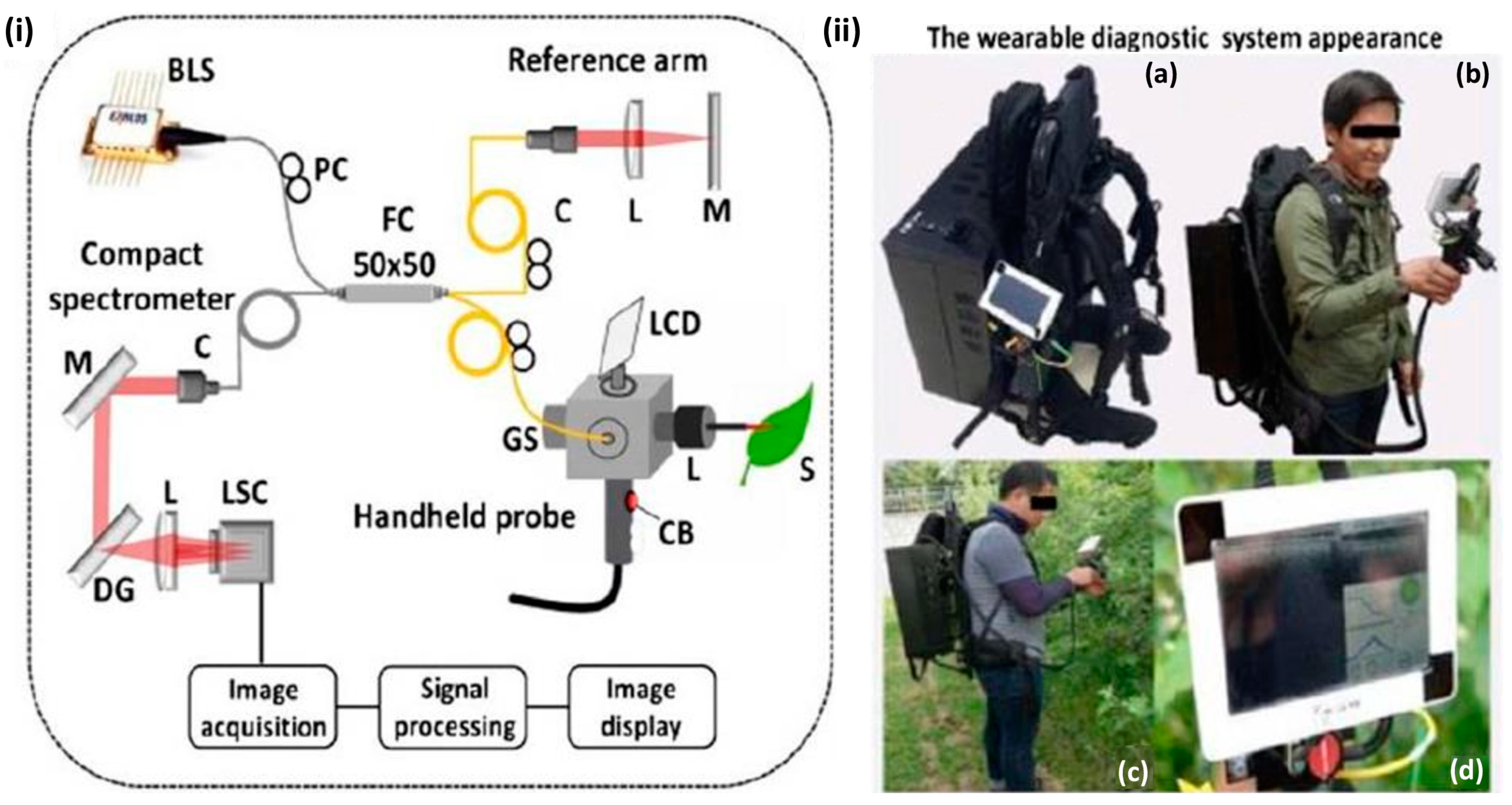 Sensors 24 00219 g010
