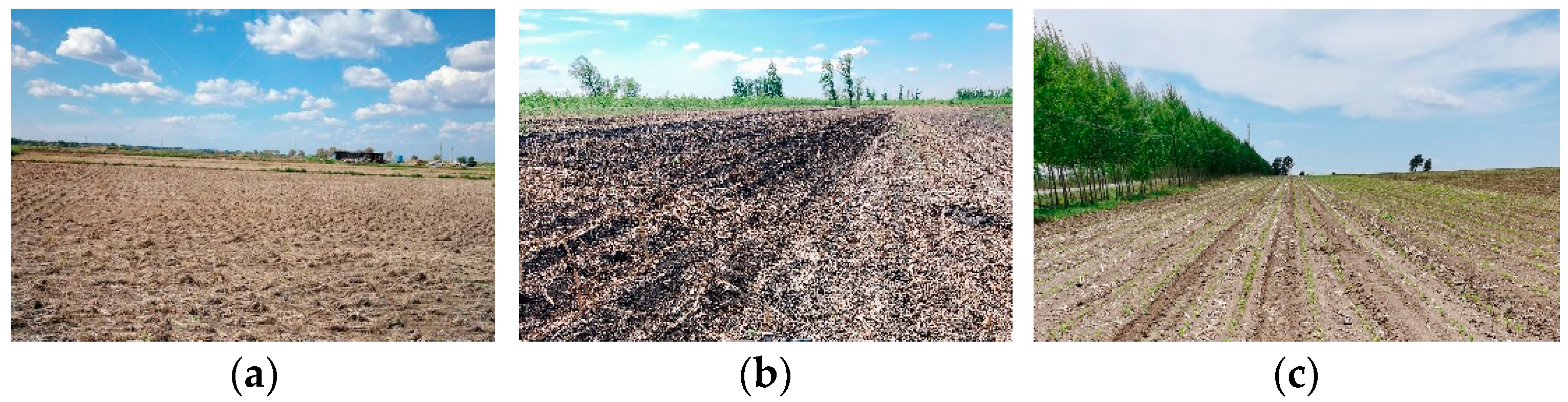 Sensors 24 00236 g008