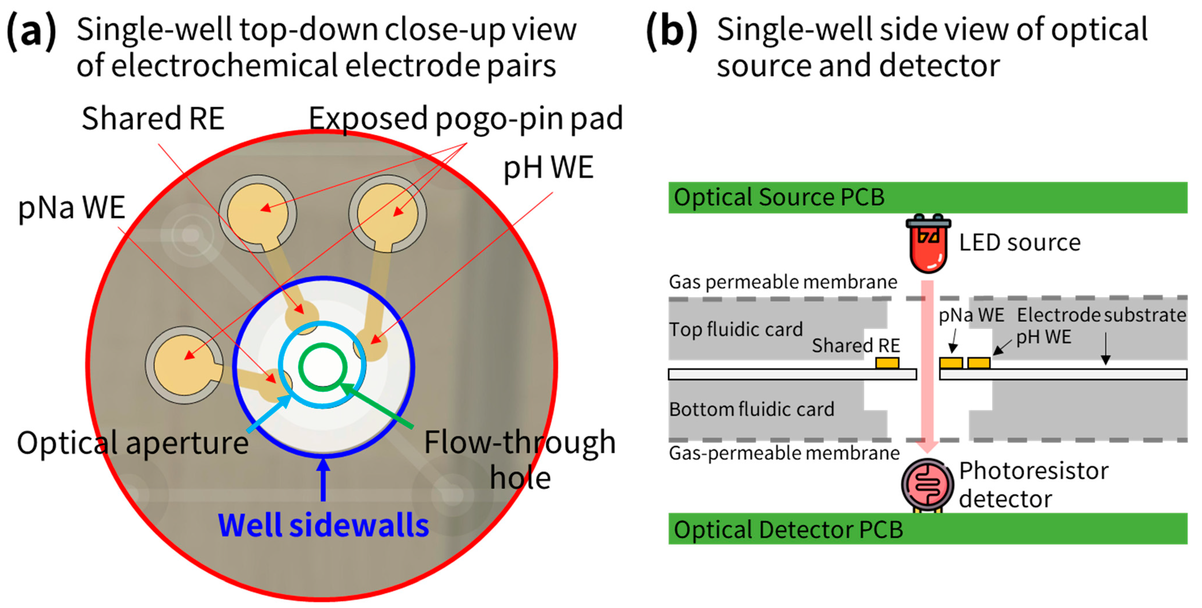 Sensors 24 00265 g004