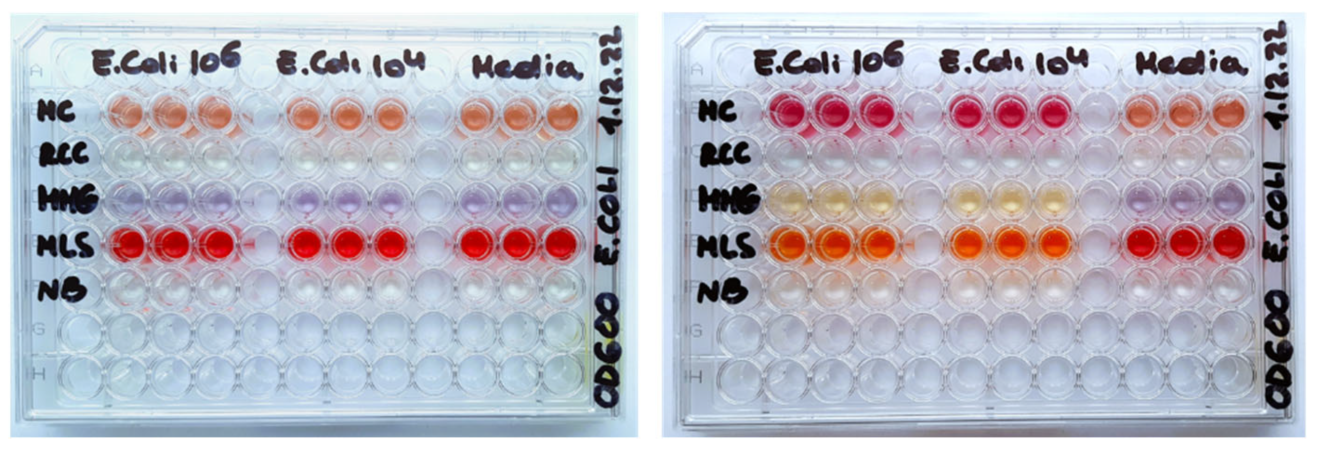 Sensors 24 00267 g001