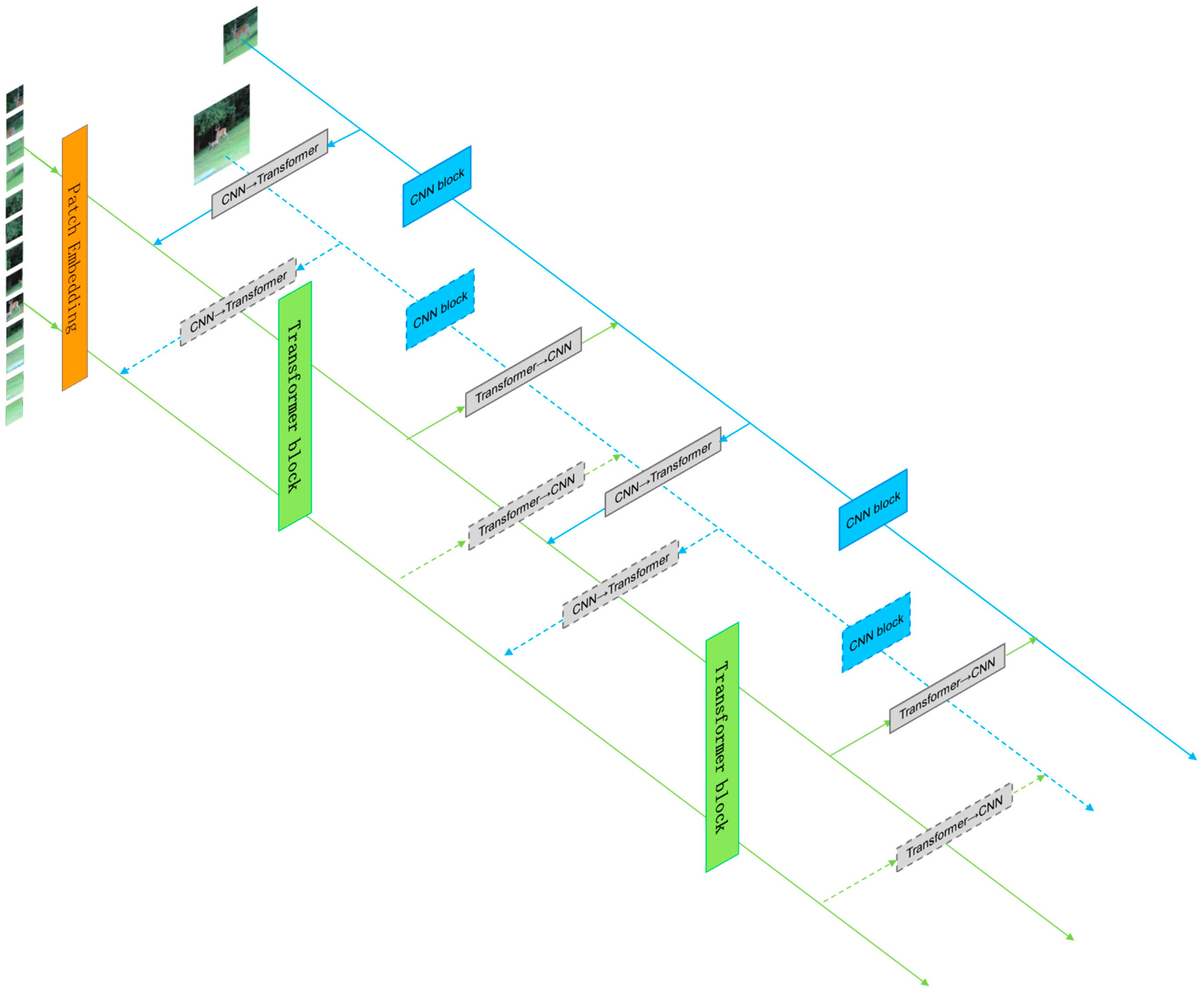 Sensors 24 00274 g001