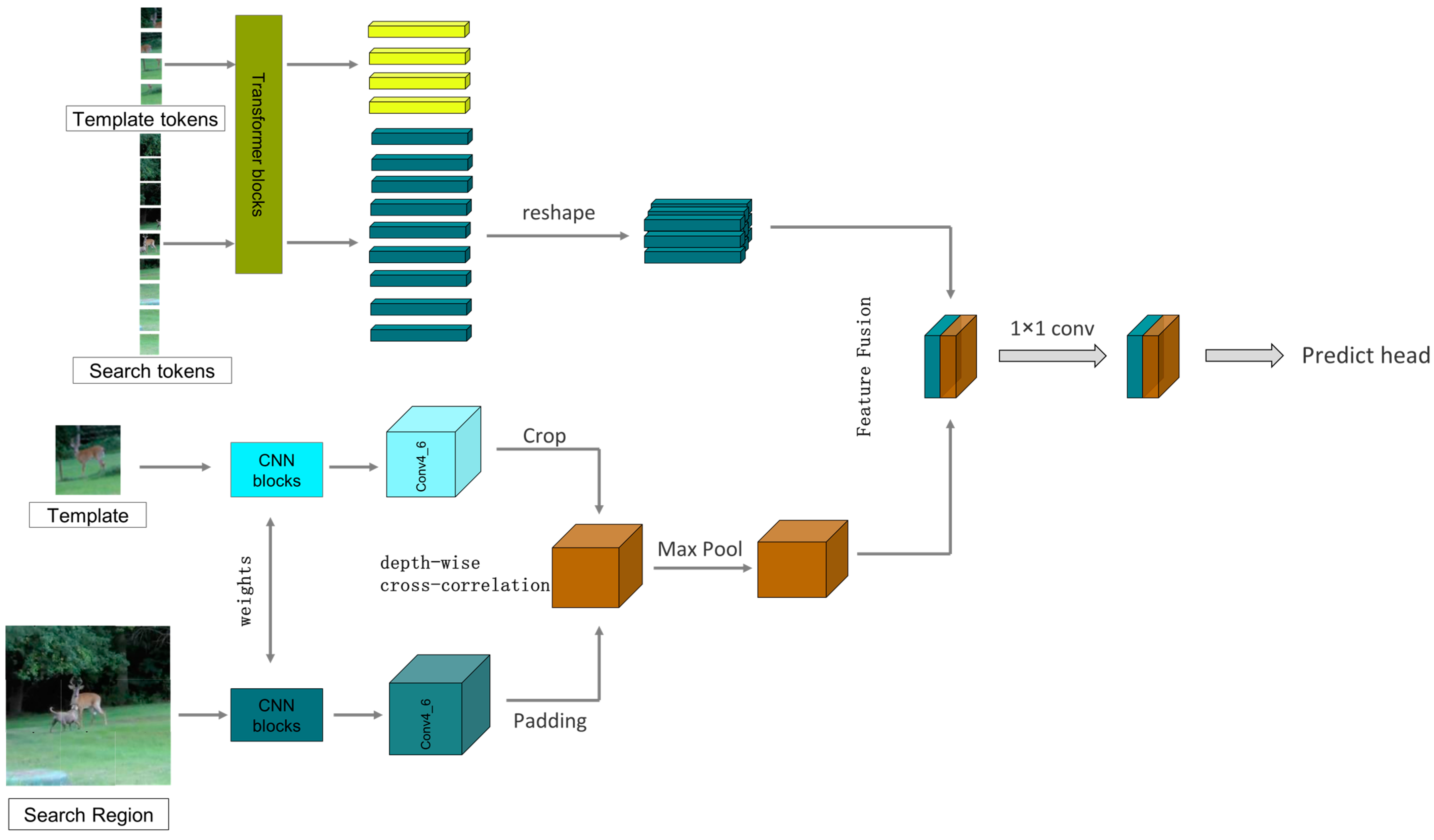 Sensors 24 00274 g007