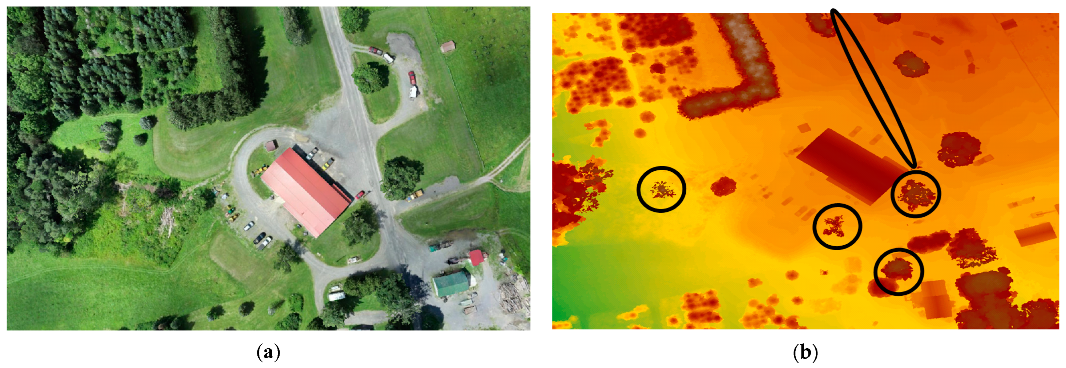 Sensors 24 00286 g011a