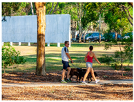 Sensors 24 00292 i009