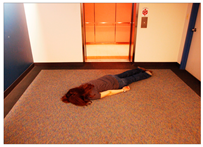 Sensors 24 00292 i013