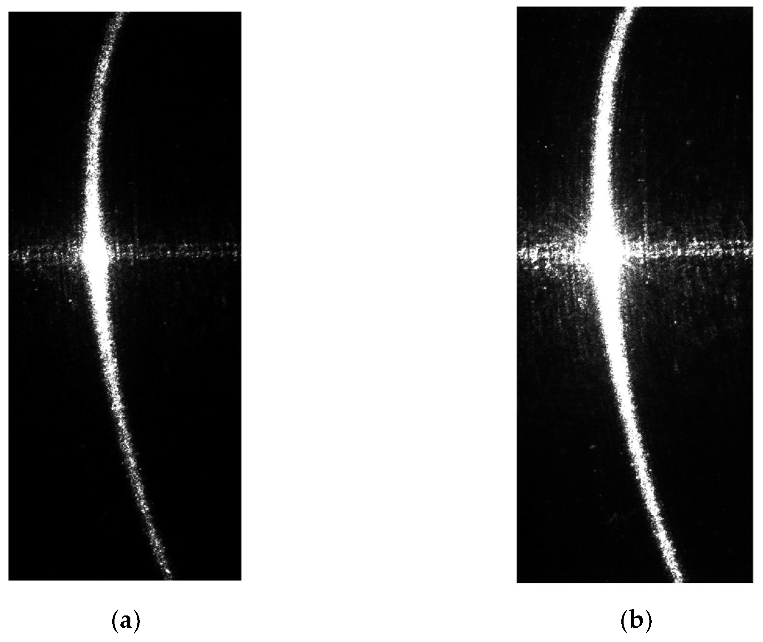Sensors 24 00303 g009