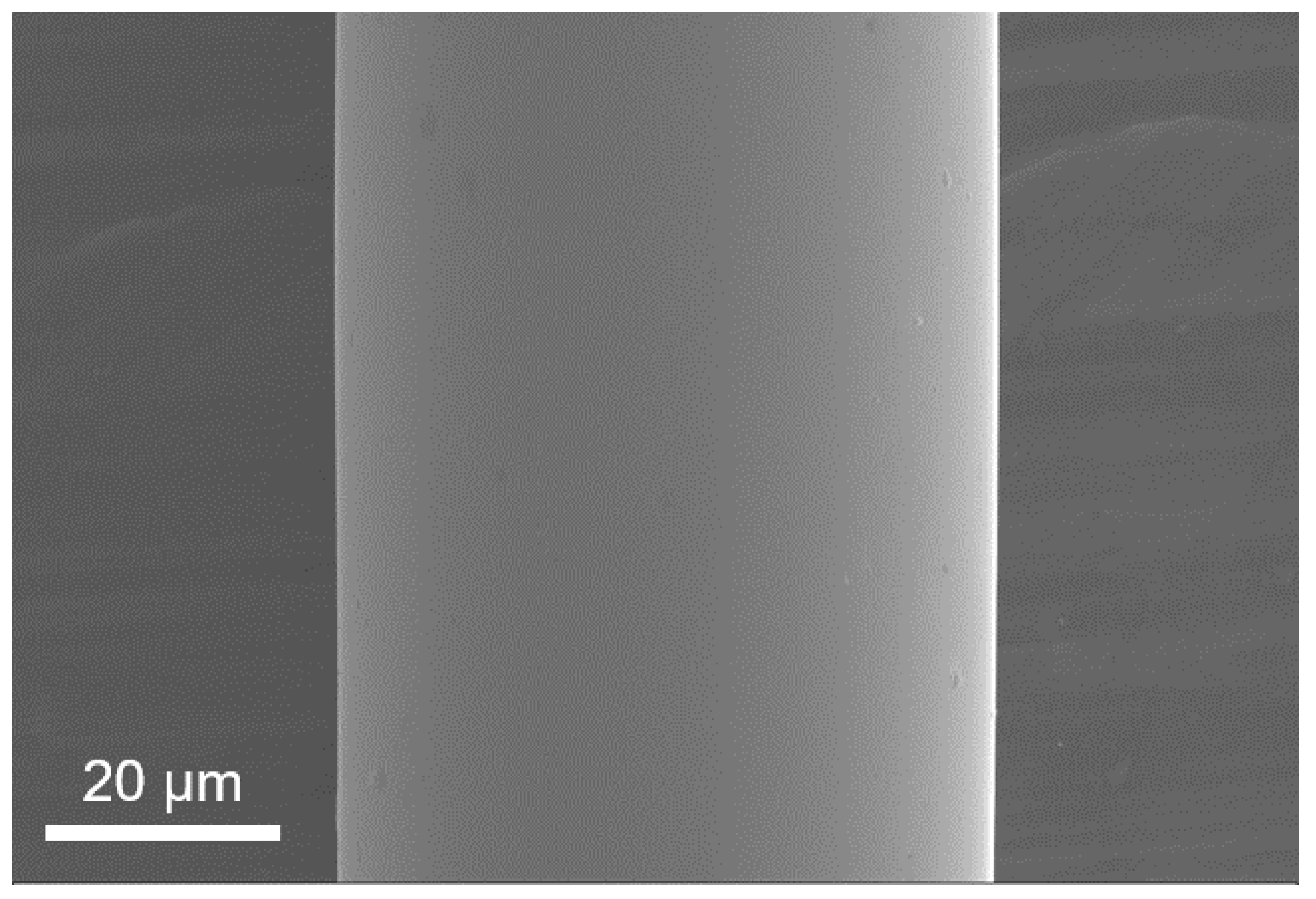 Sensors 24 00309 g001