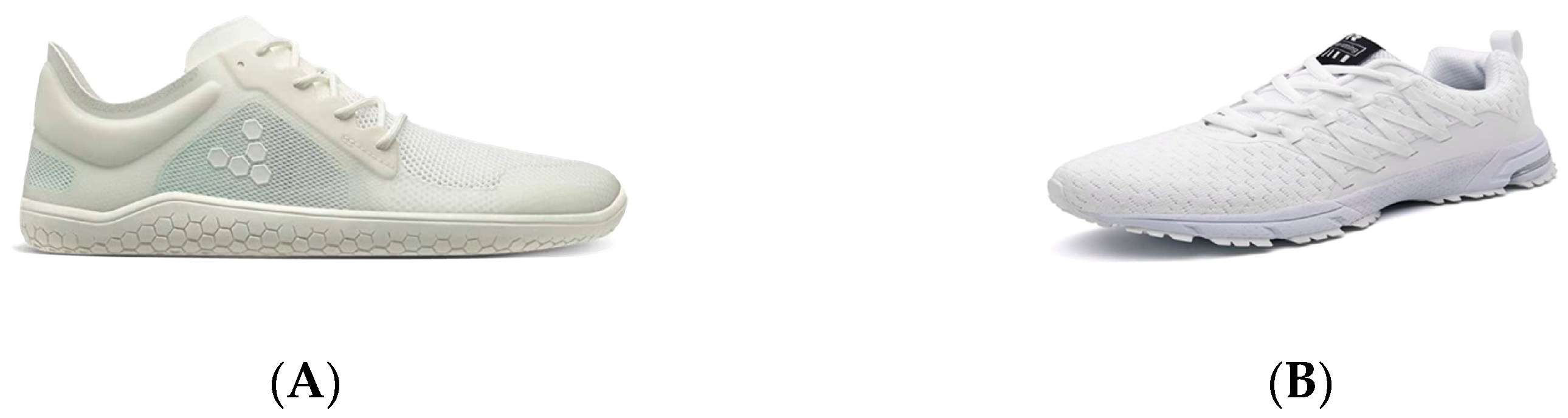 Sensors 24 00310 g001