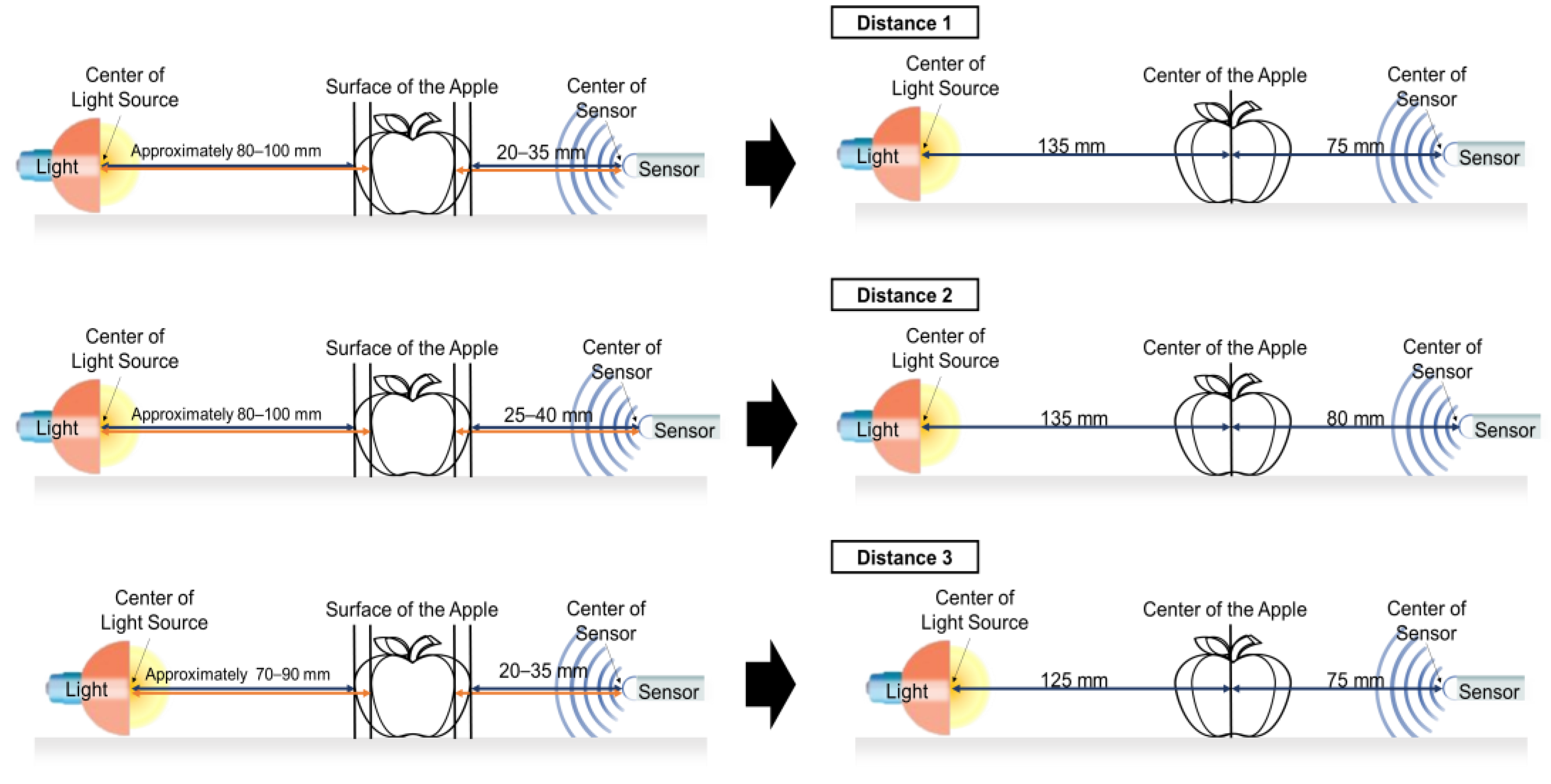 Sensors 24 00316 g008
