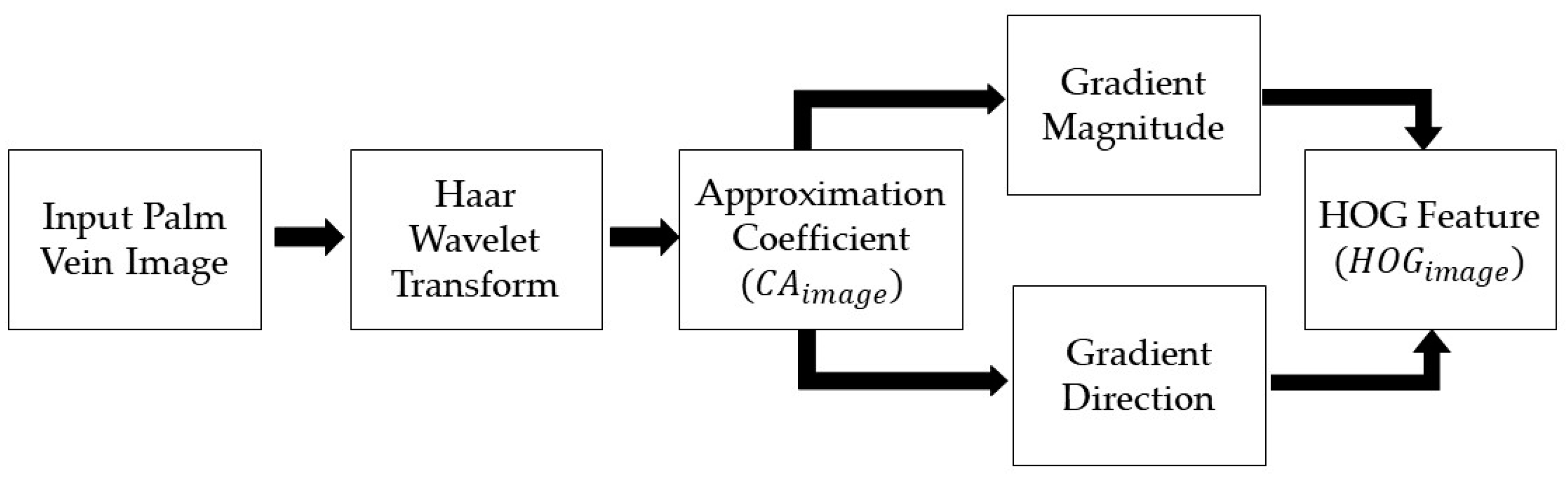 Sensors 24 00341 g006