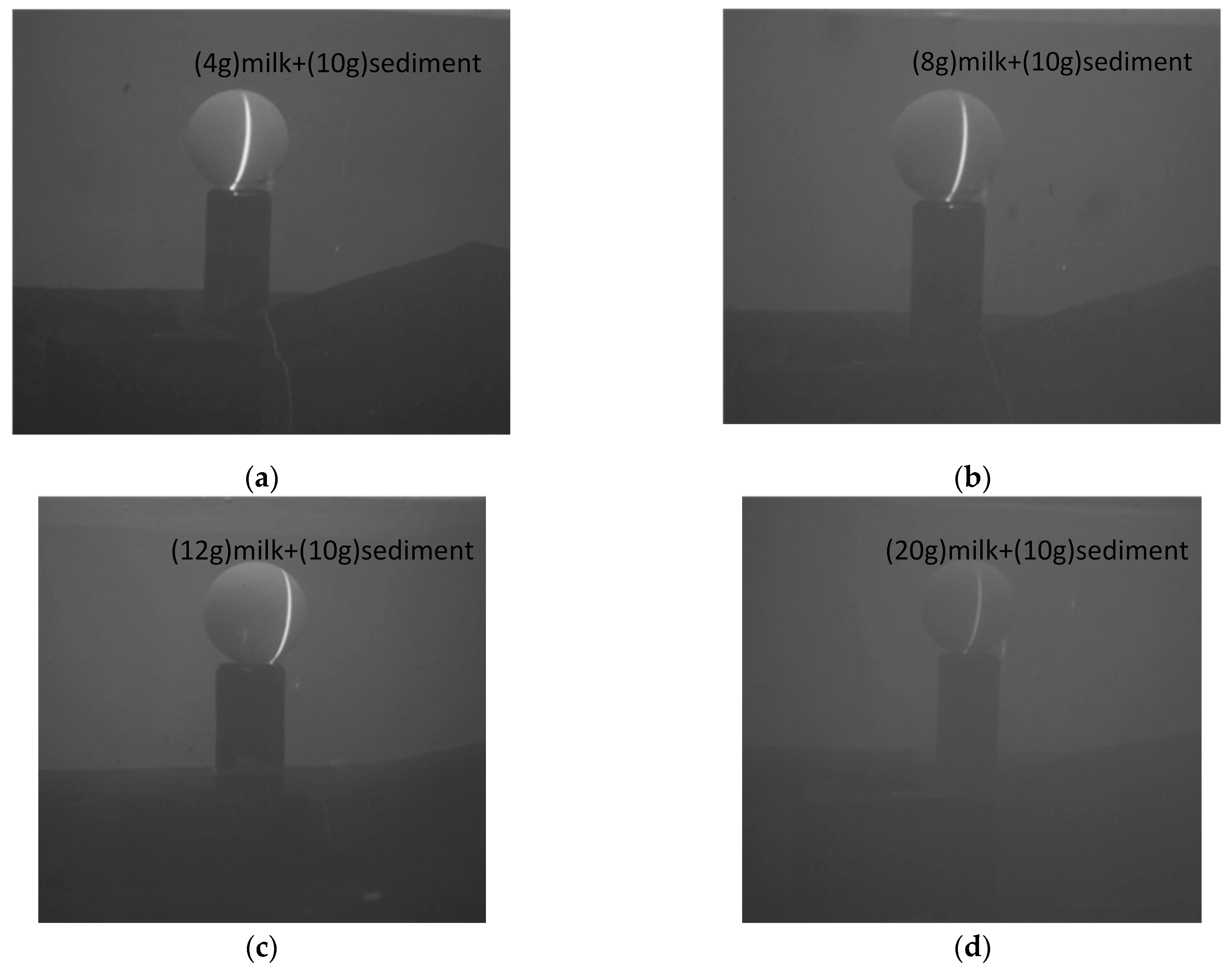 Sensors 24 00343 g012