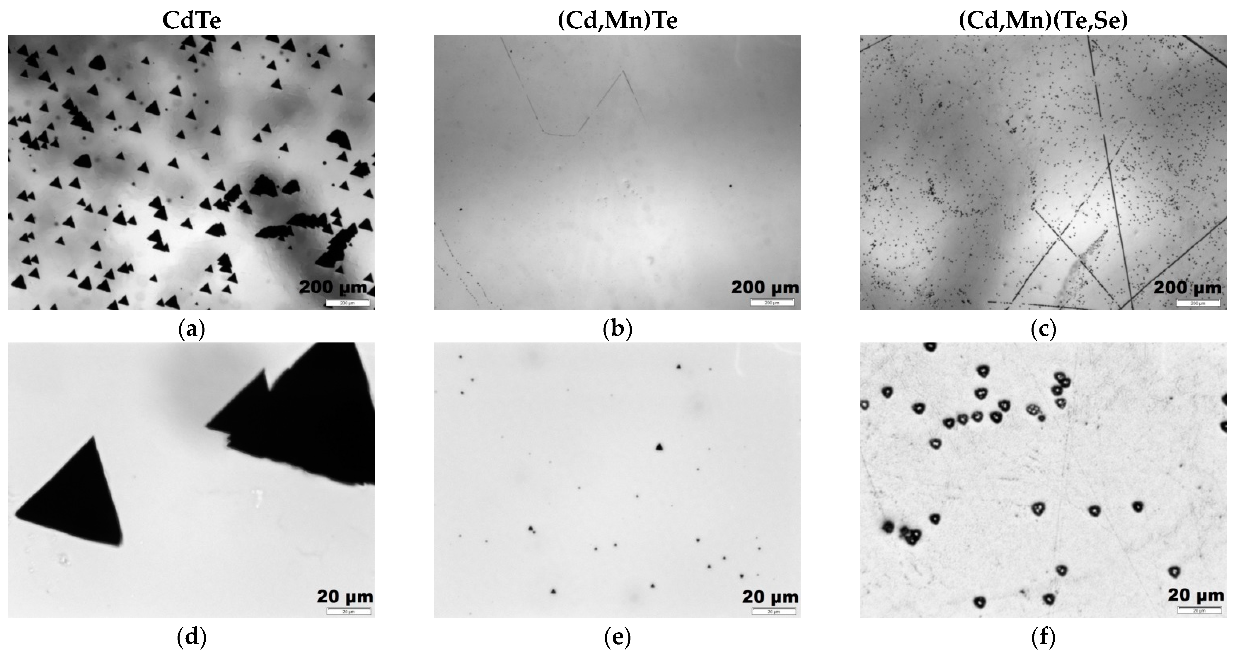 Sensors 24 00345 g003