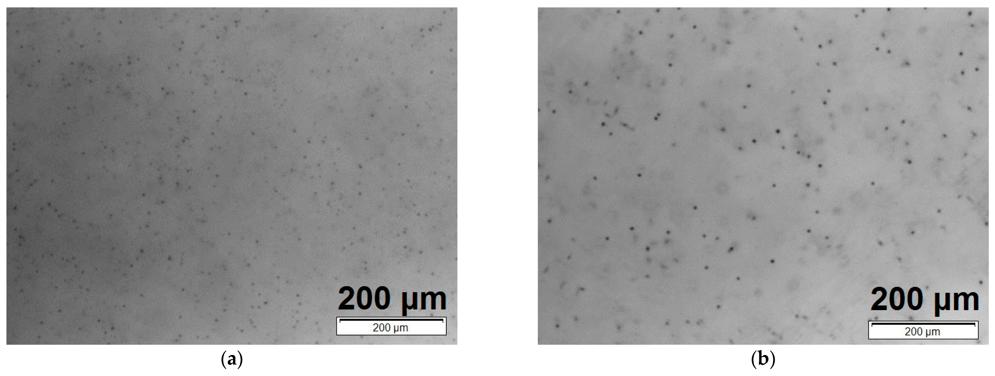 Sensors 24 00345 g008