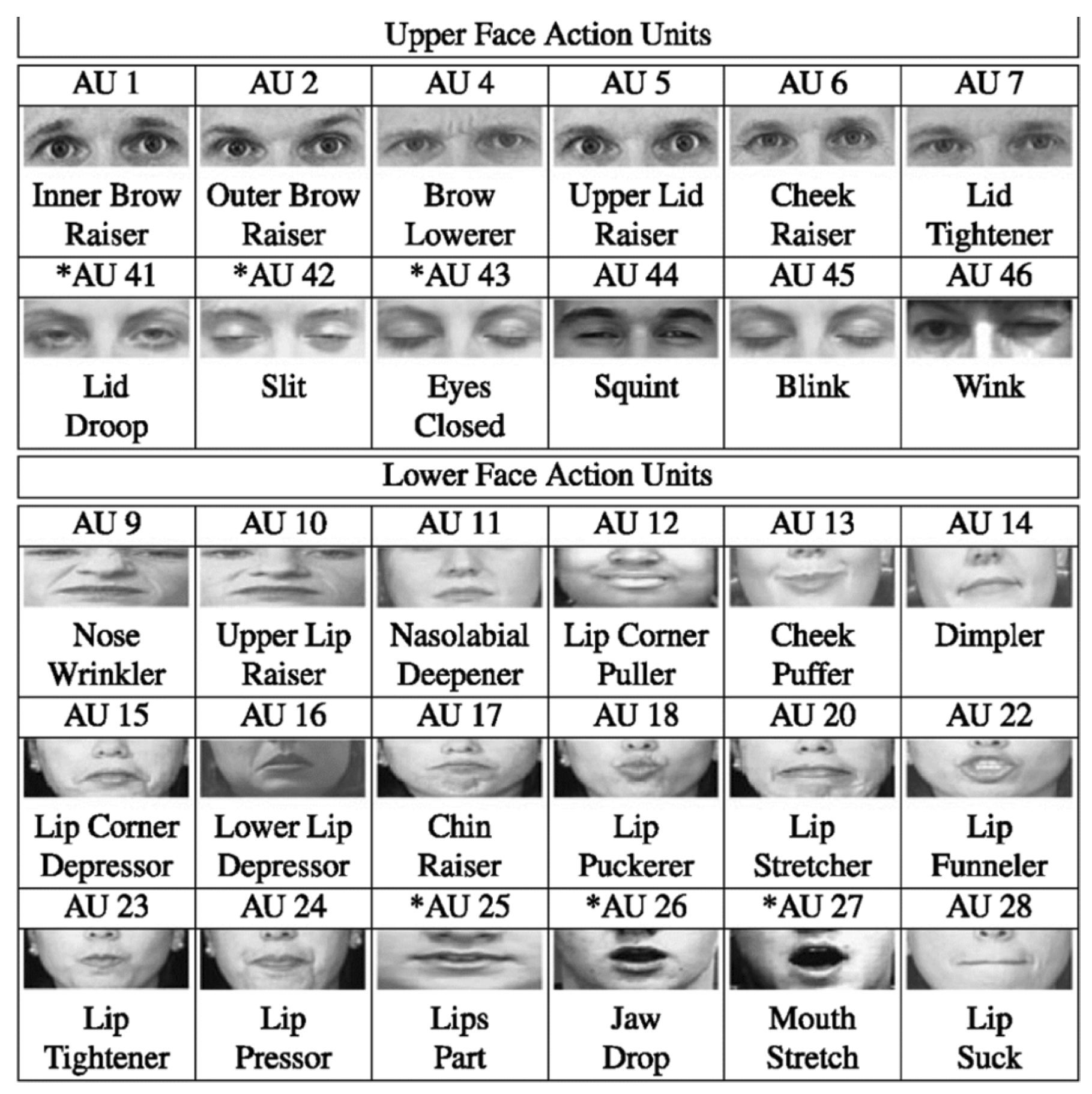 Sensors 24 00348 g003