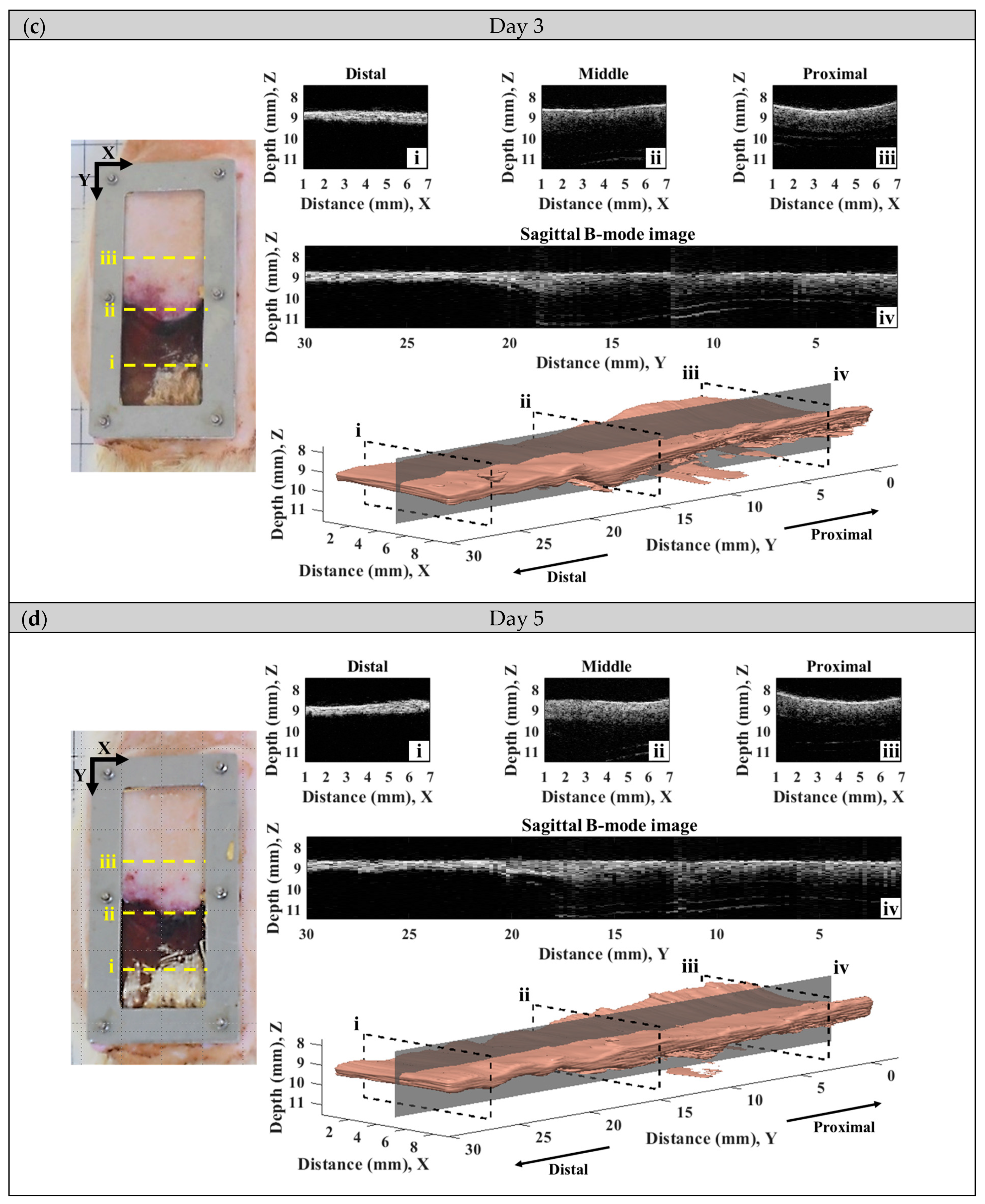Sensors 24 00363 g006b