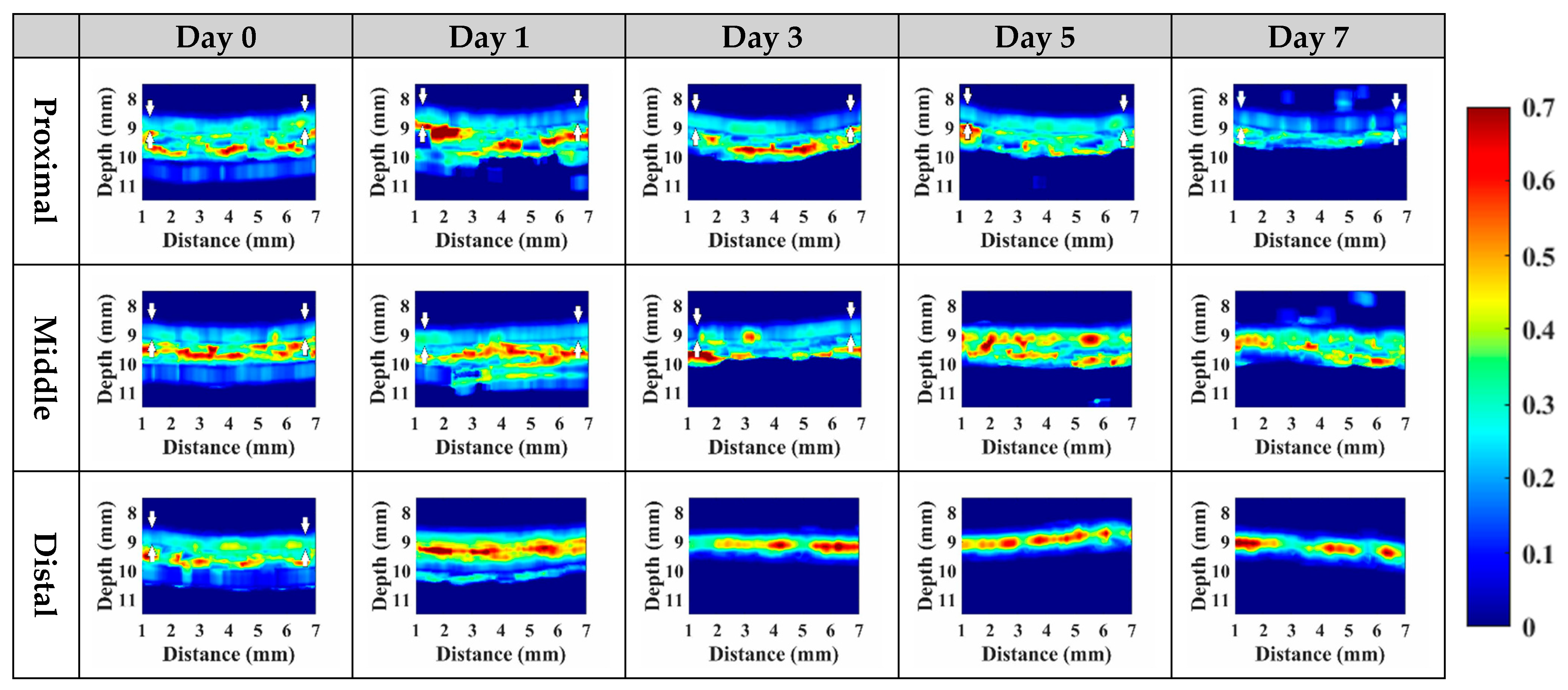 Sensors 24 00363 g010