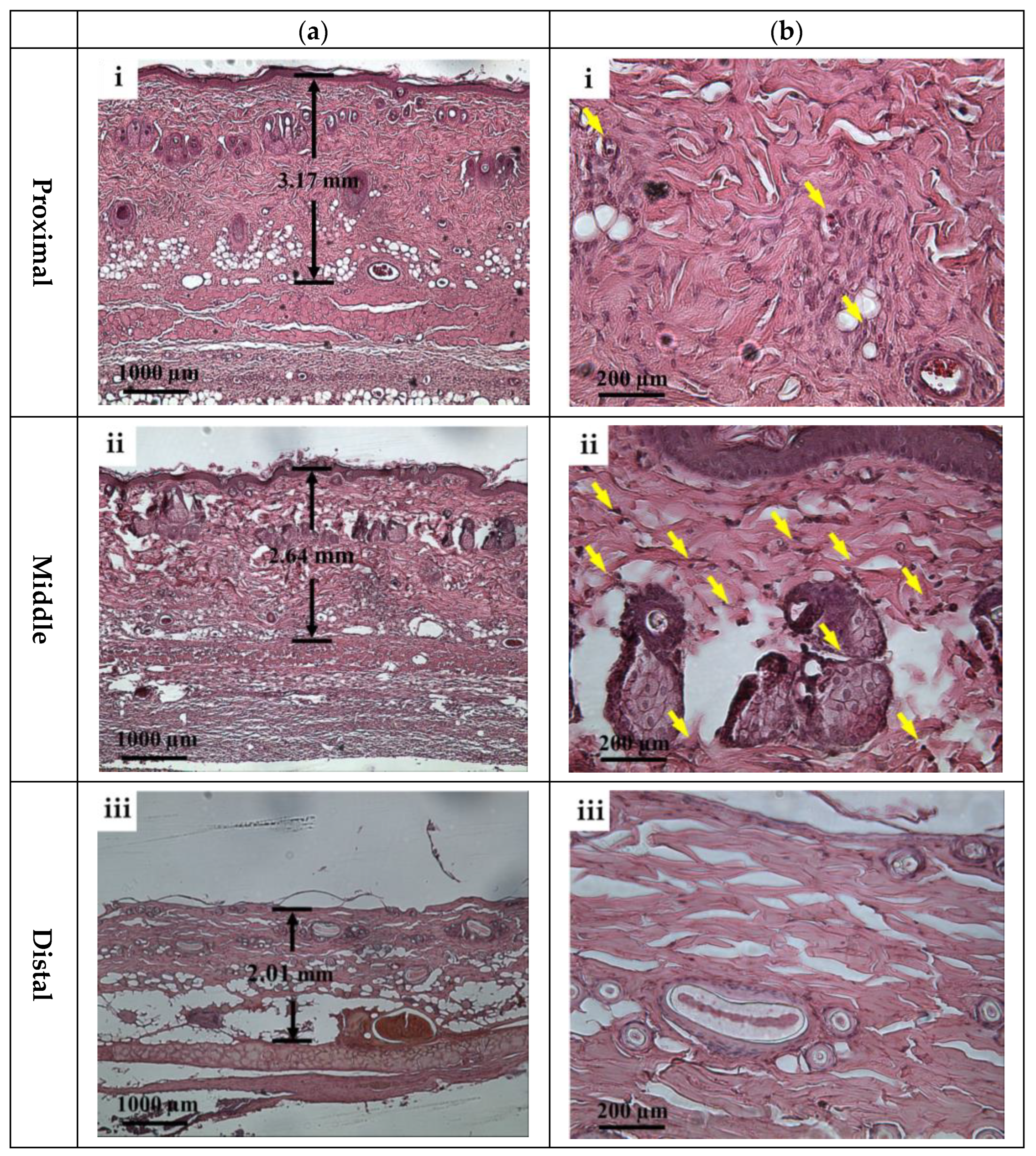 Sensors 24 00363 g013