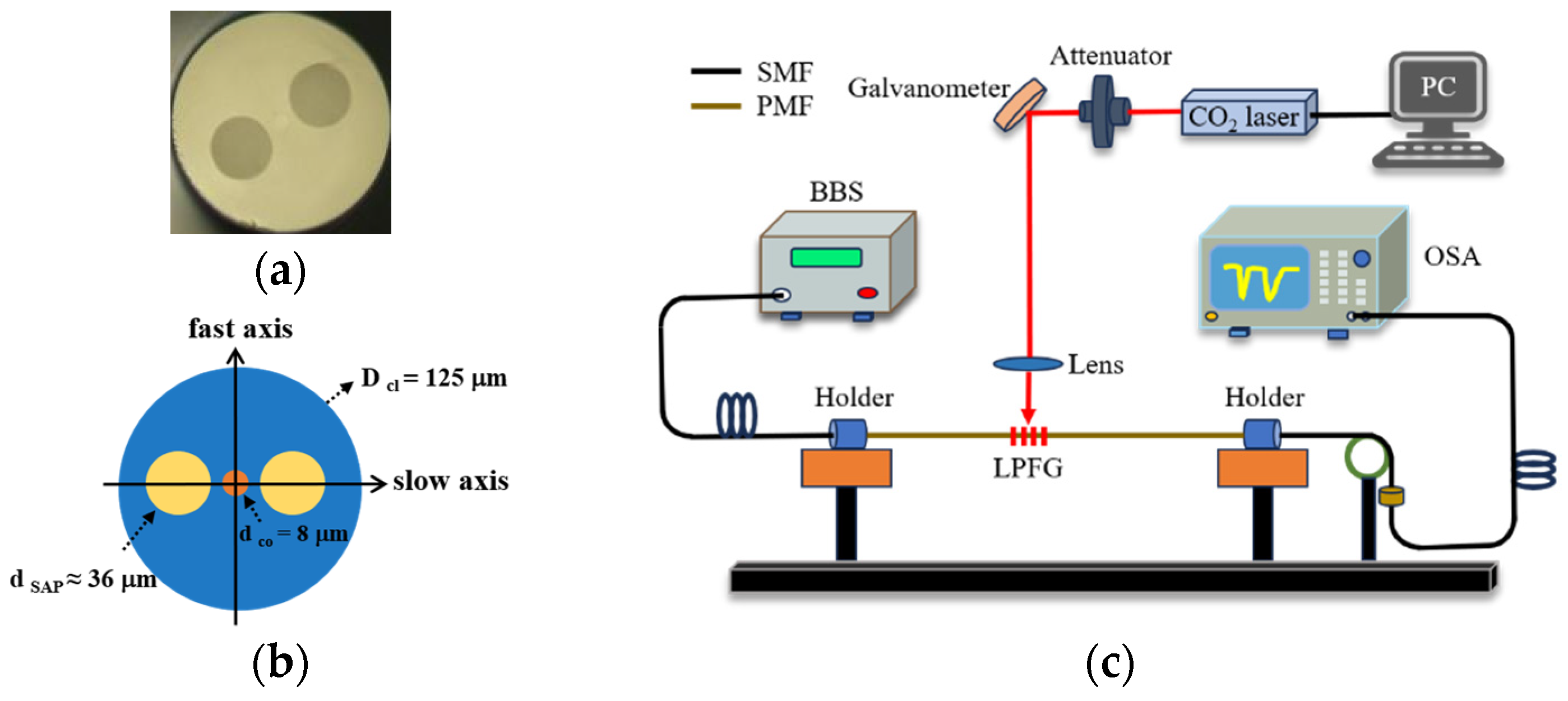 Sensors 24 00377 g001
