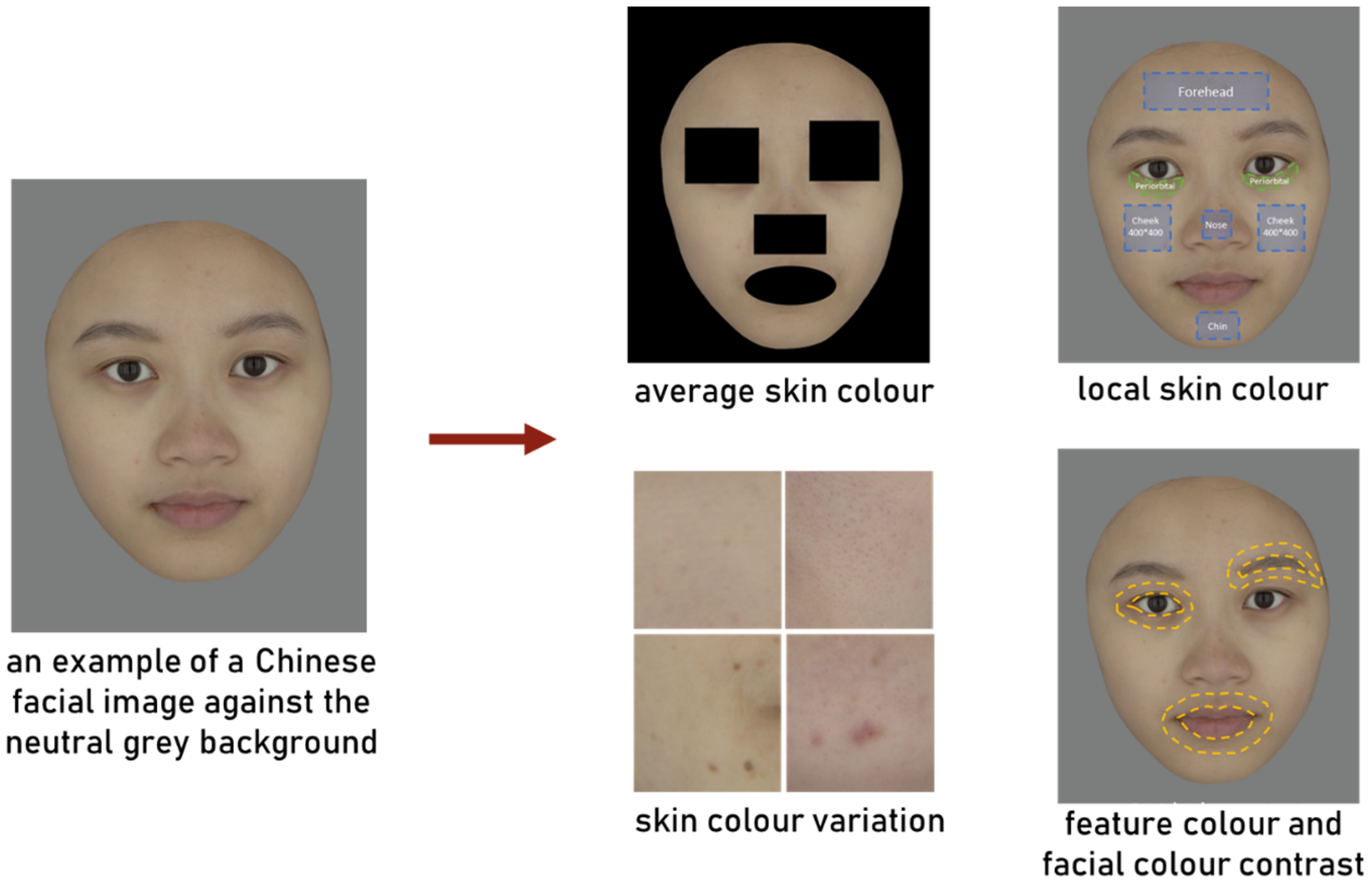 Sensors 24 00391 g002