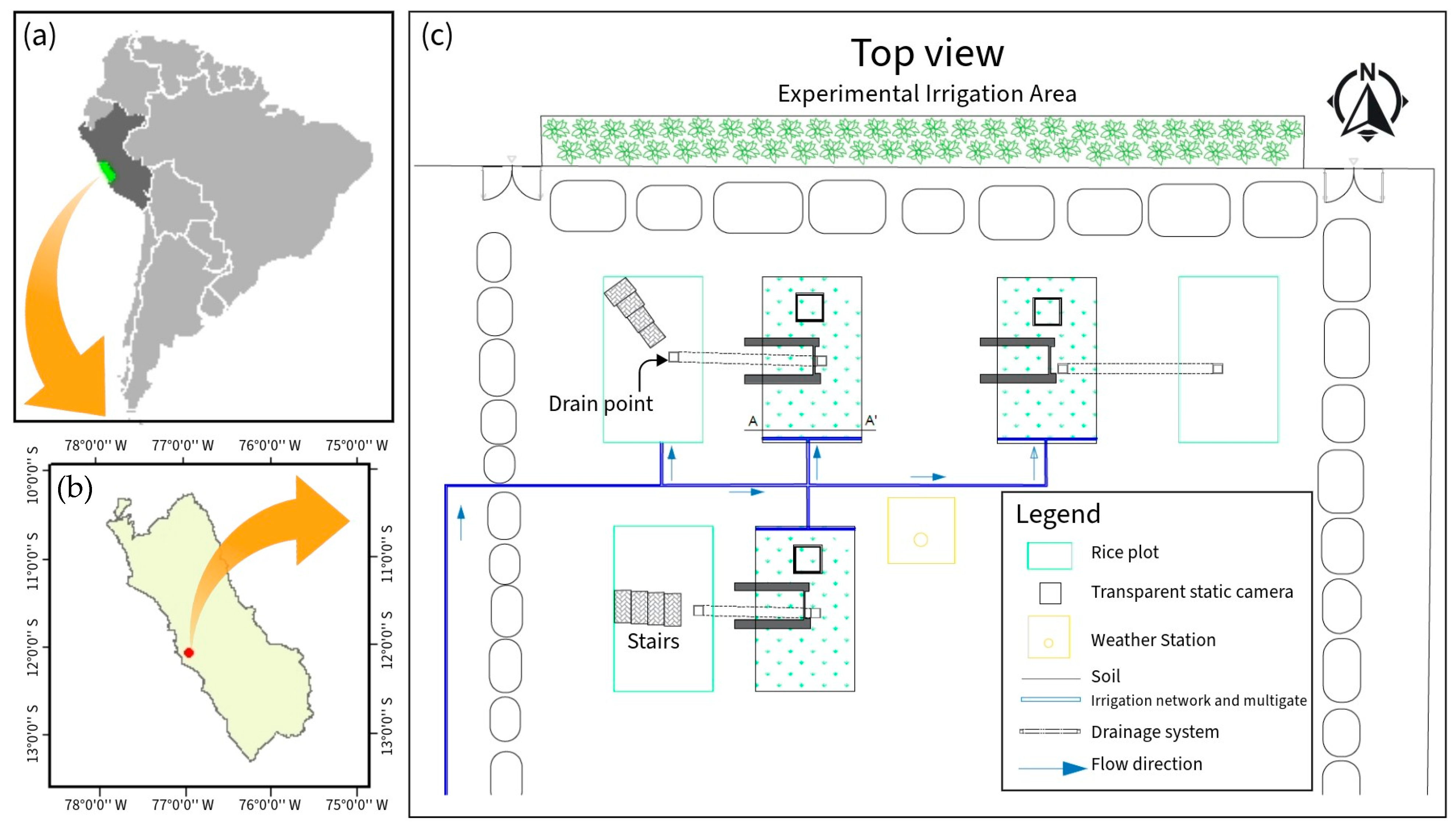 Sensors 24 00402 g001