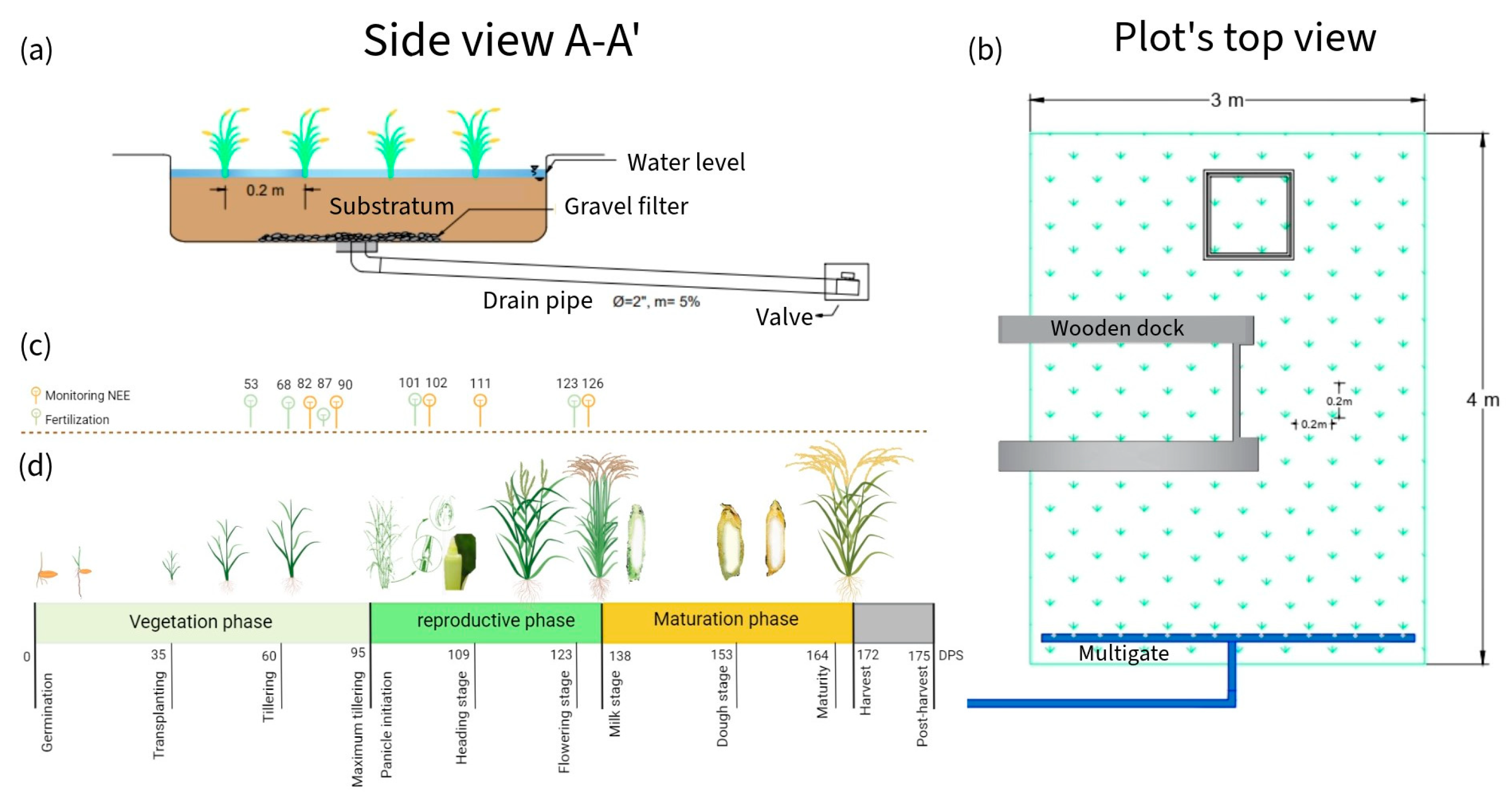 Sensors 24 00402 g005