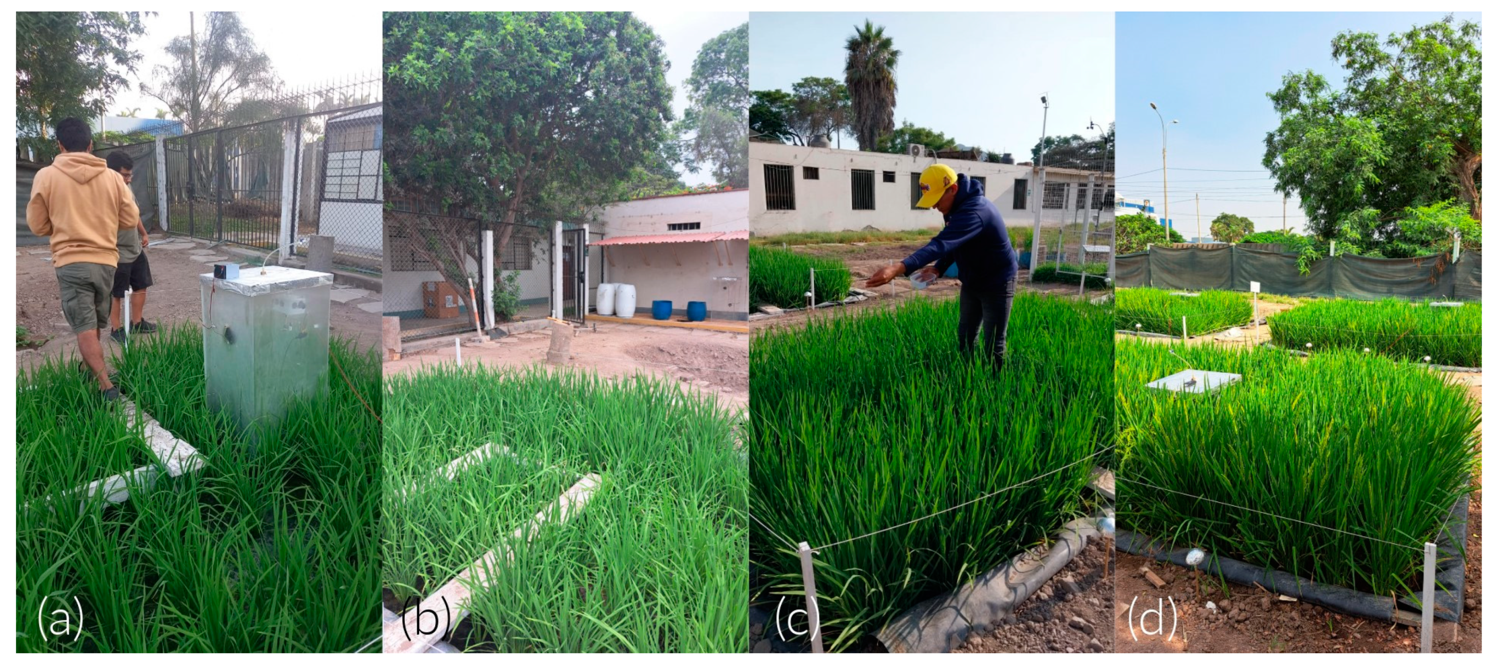 Sensors 24 00402 g010