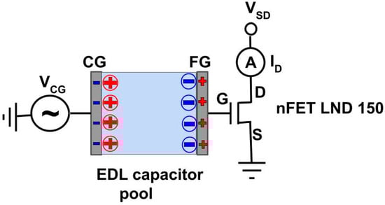 Sensors 24 00407 g001