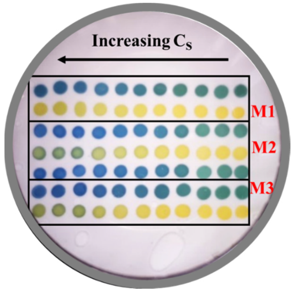 Sensors 24 00417 g002
