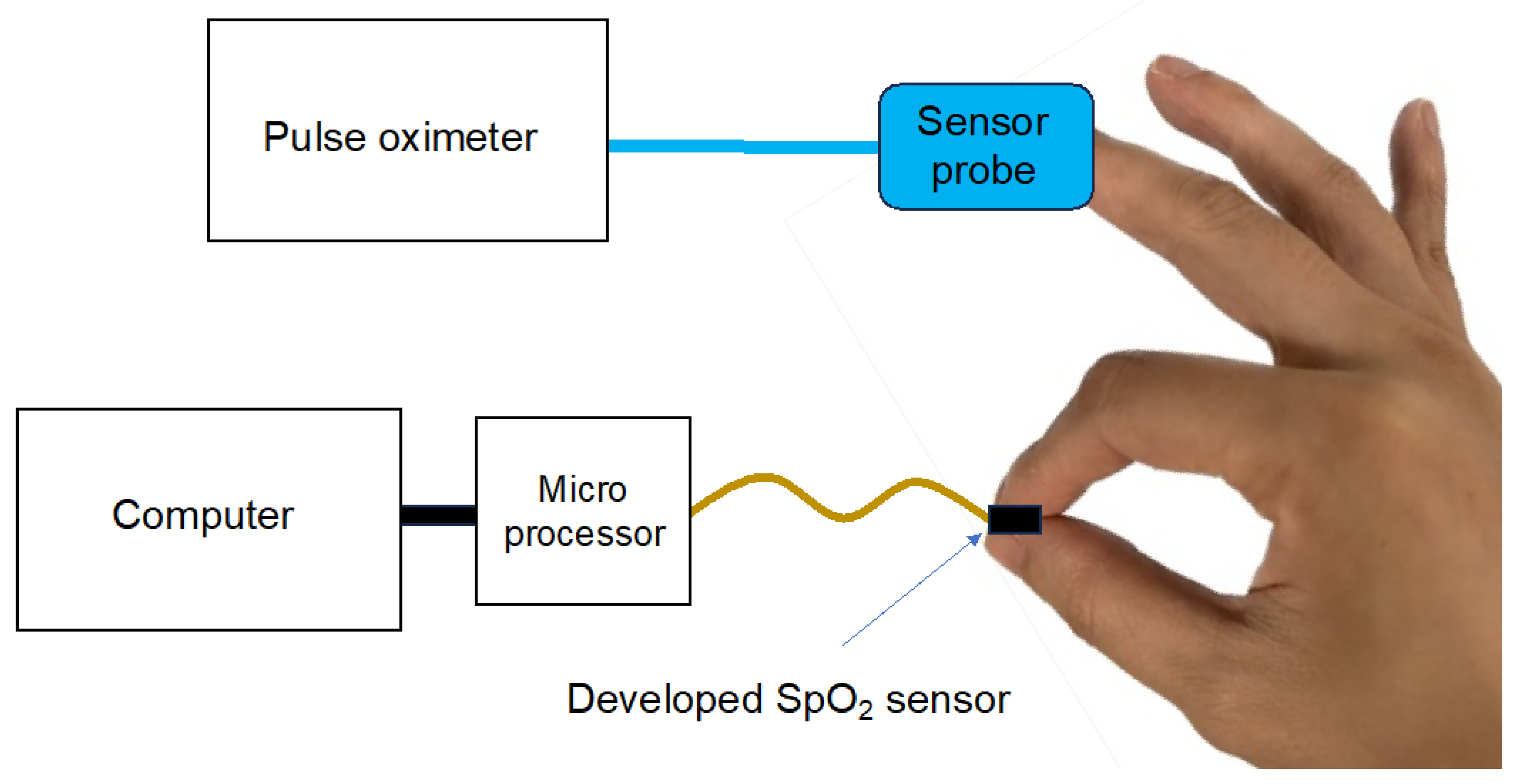 Sensors 24 00435 g006