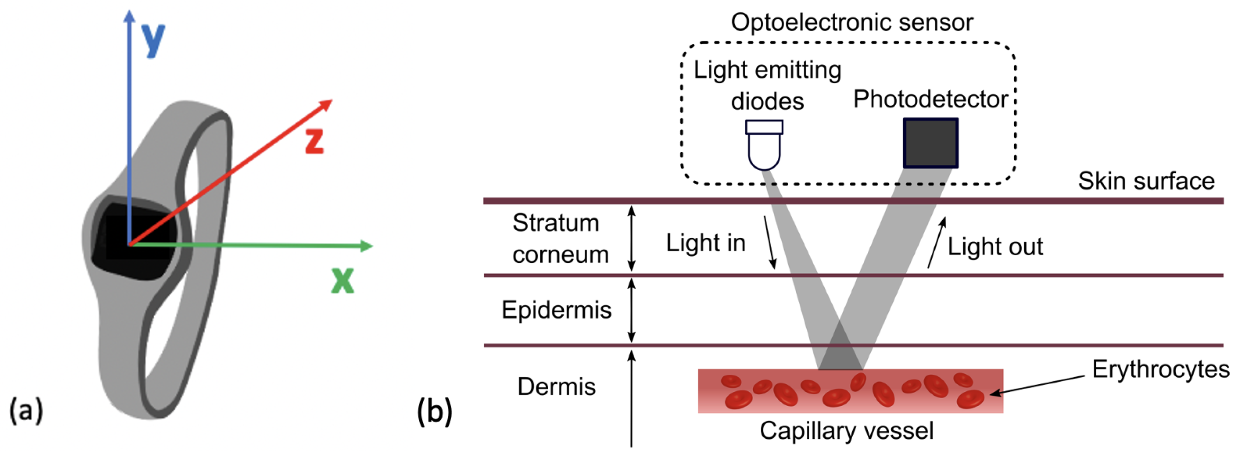 Sensors 24 00482 g004