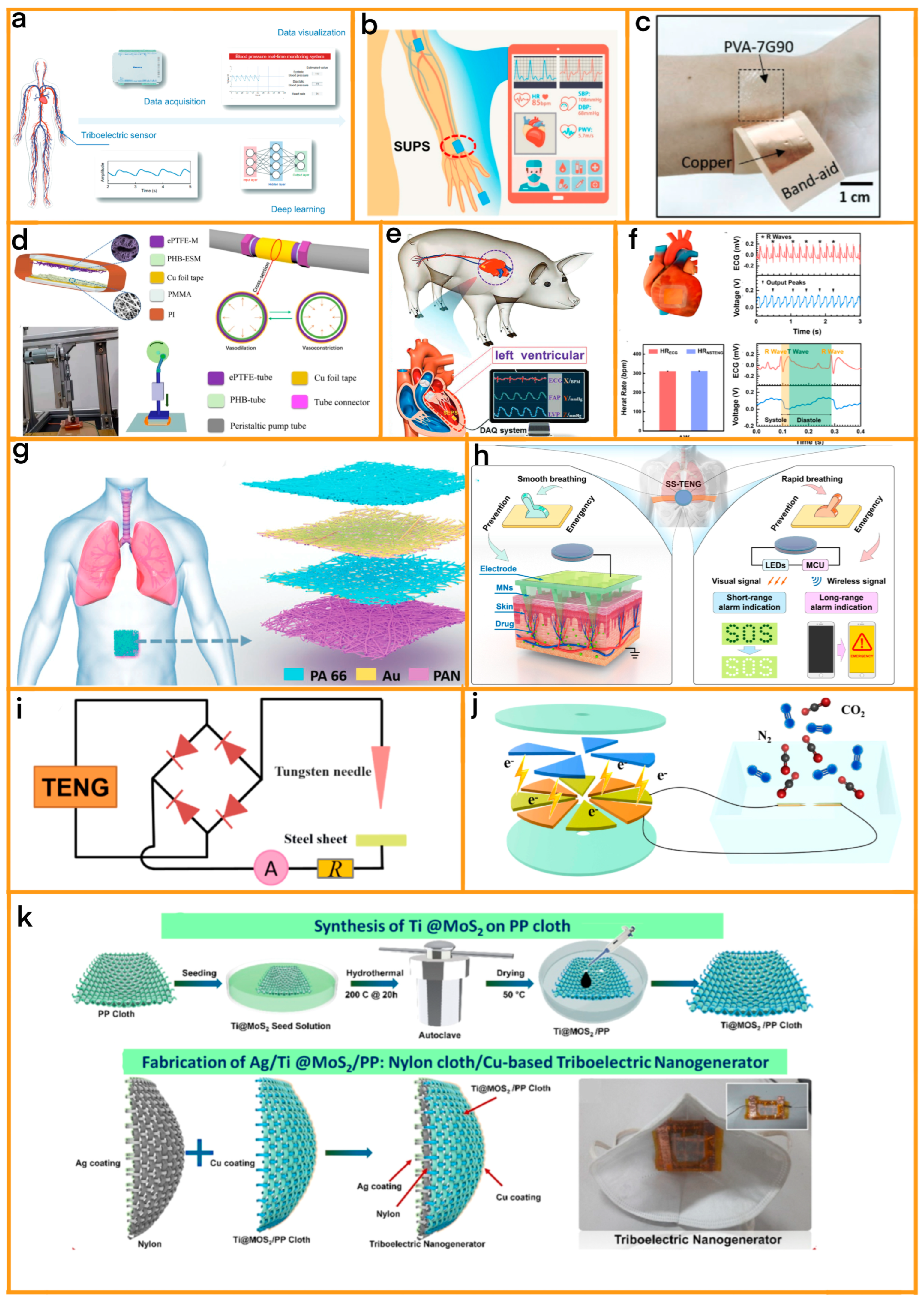 Sensors 24 00511 g003