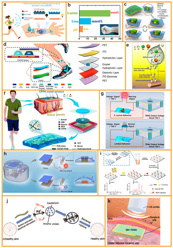 Sensors 24 00511 g005