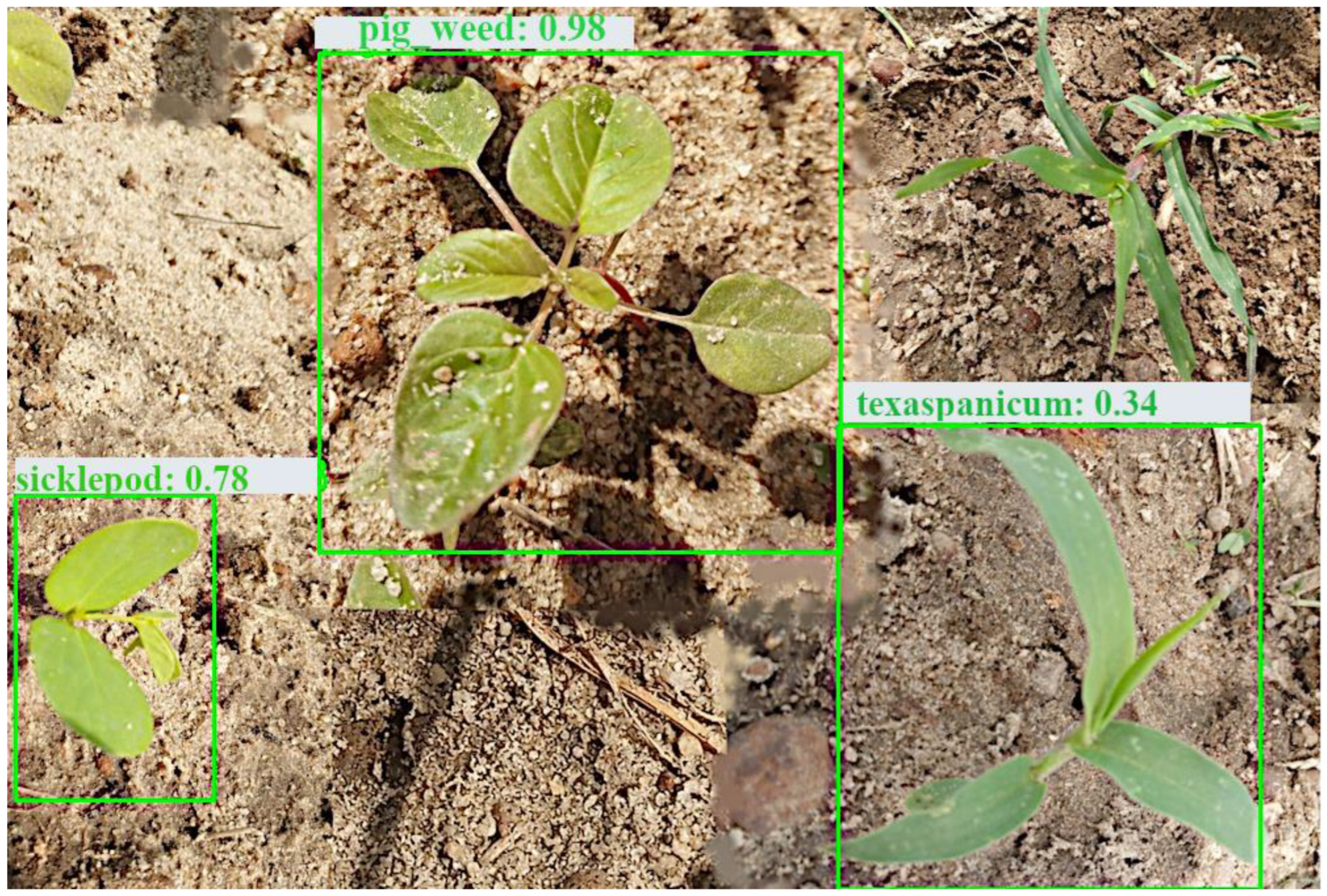 Sensors 24 00514 g013