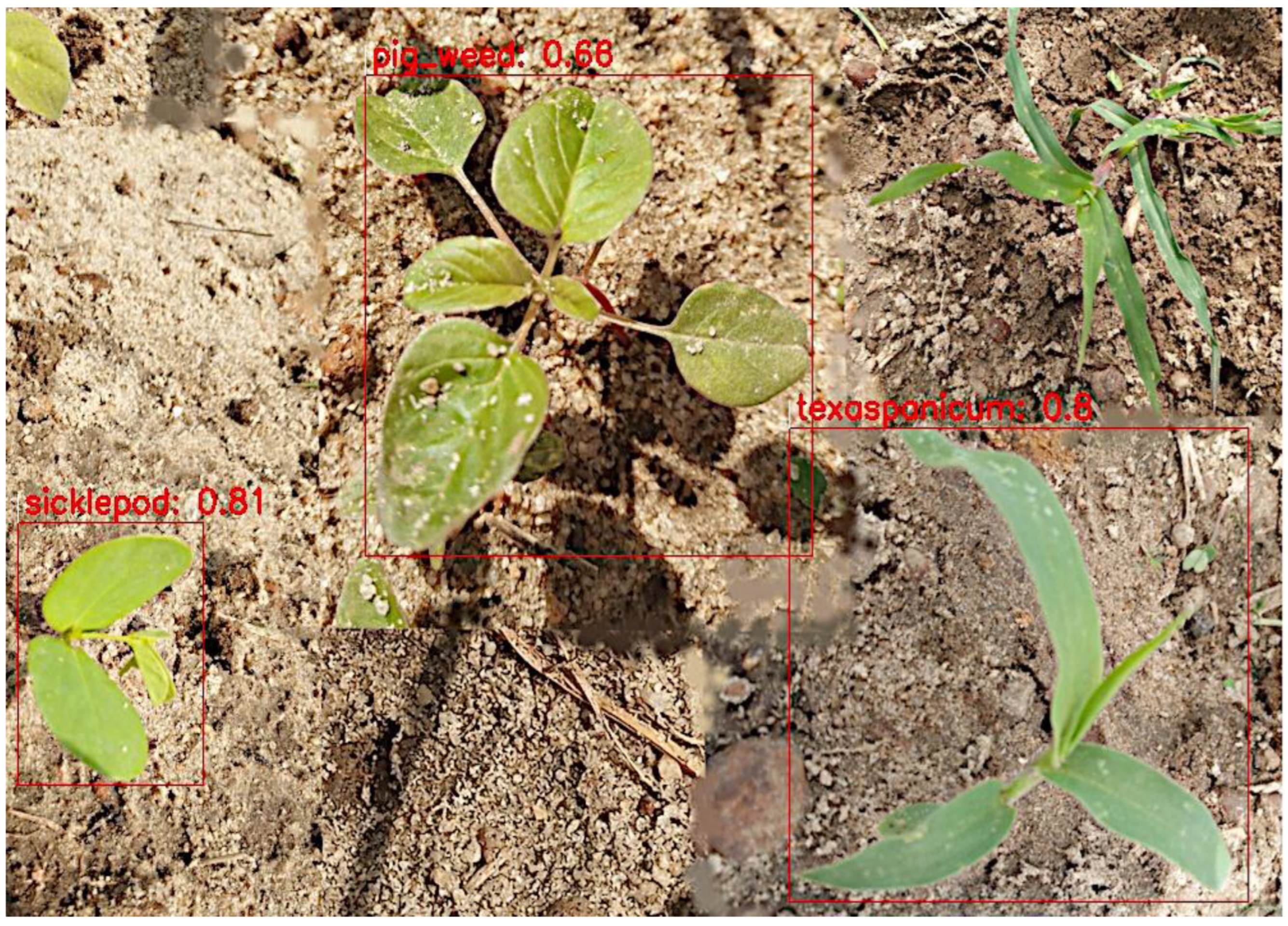 Sensors 24 00514 g014