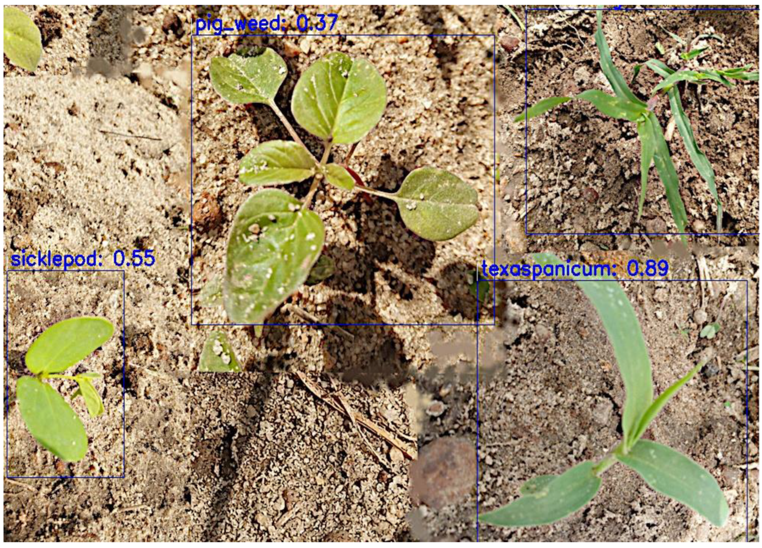 Sensors 24 00514 g015