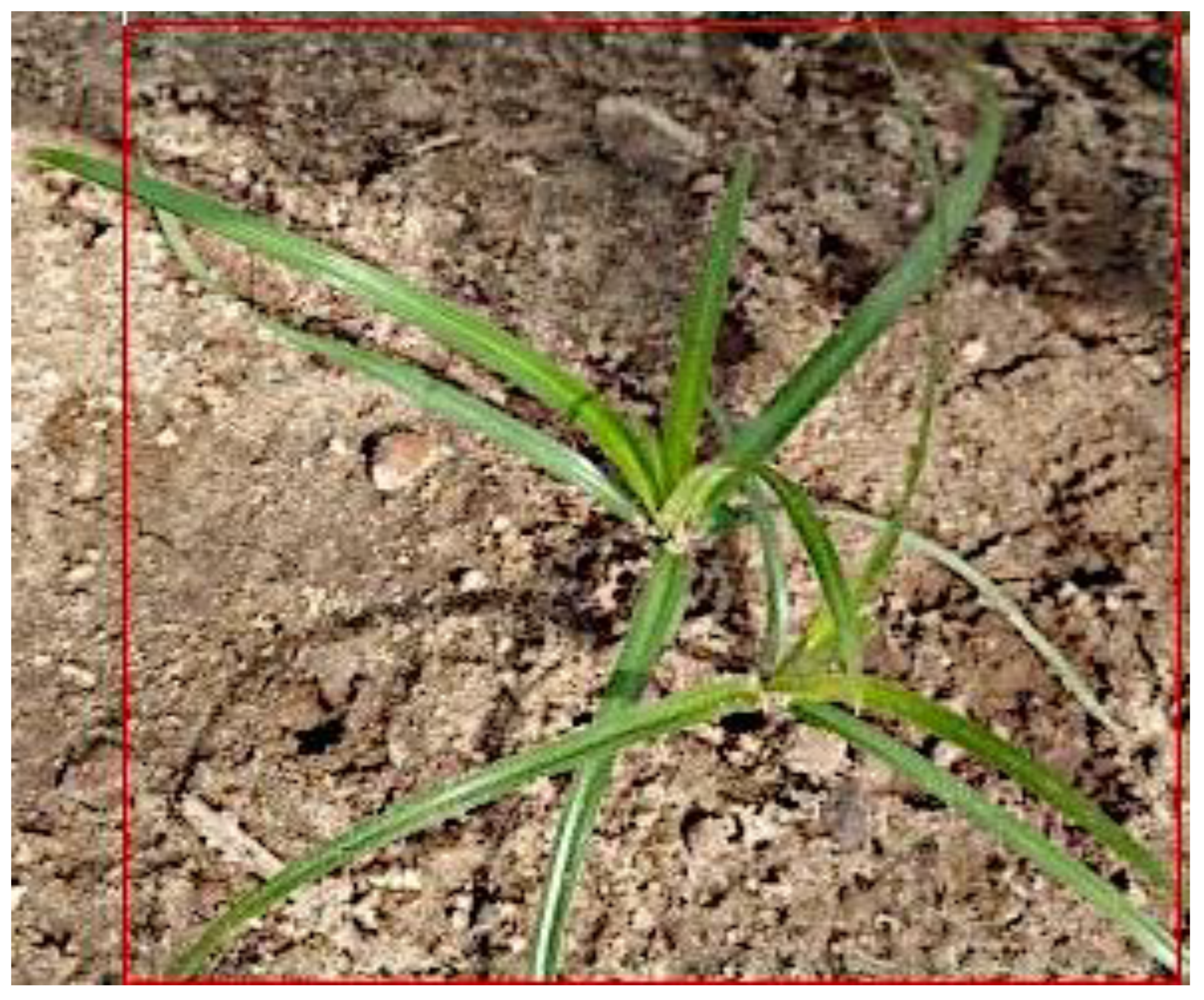 Sensors 24 00514 g016