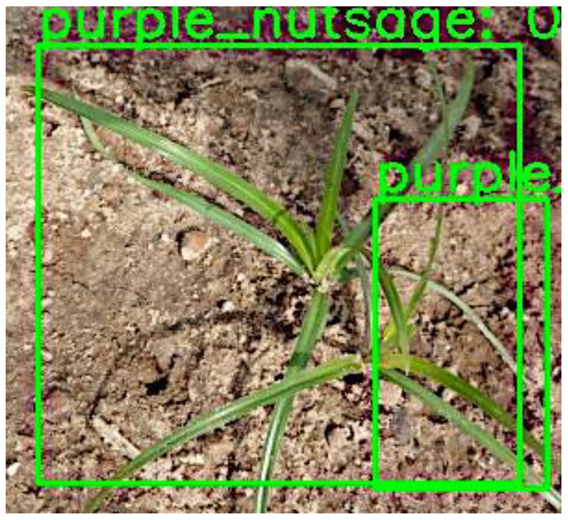 Sensors 24 00514 g018