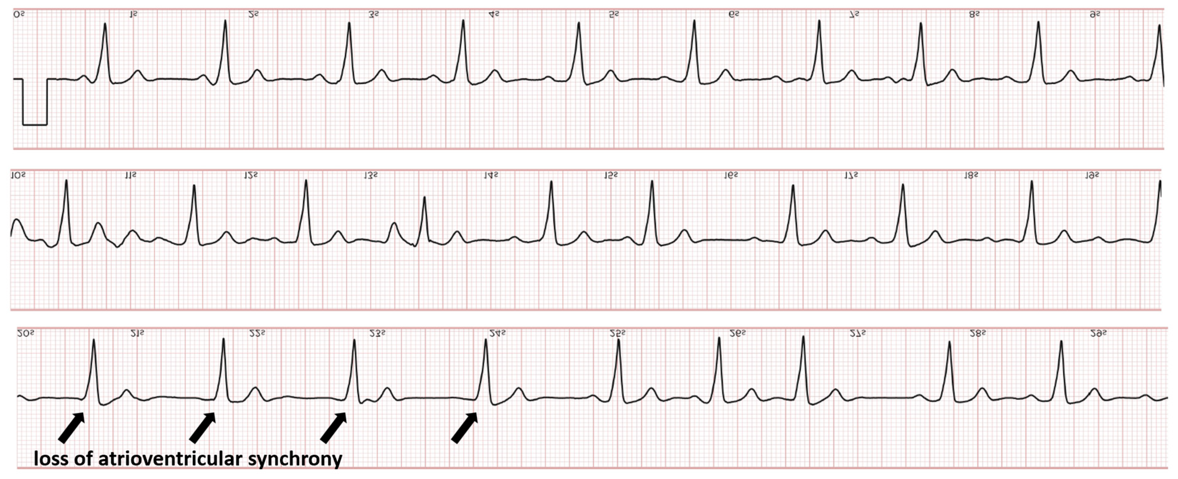 Sensors 24 00527 g004
