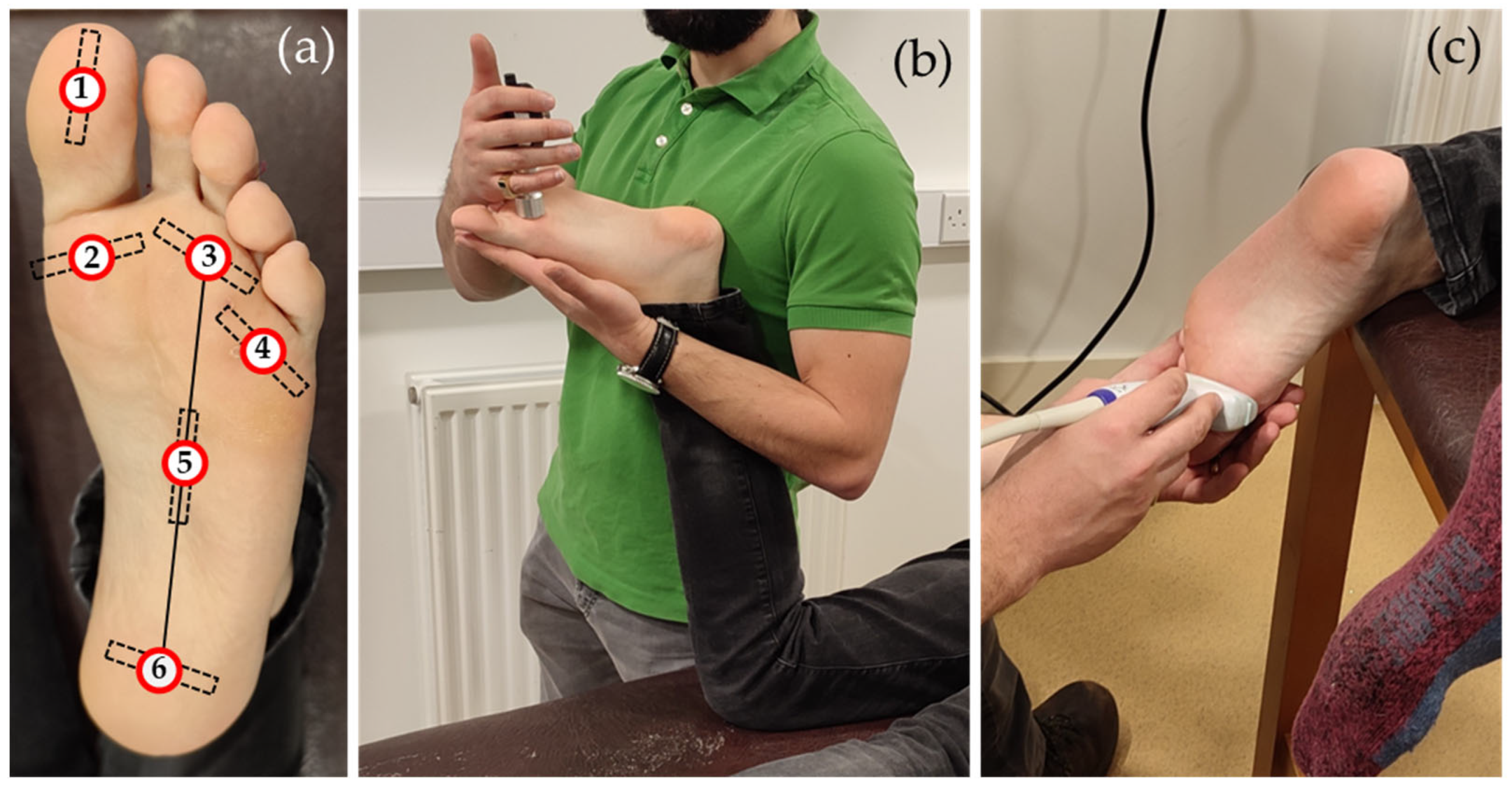 Sensors 24 00539 g001