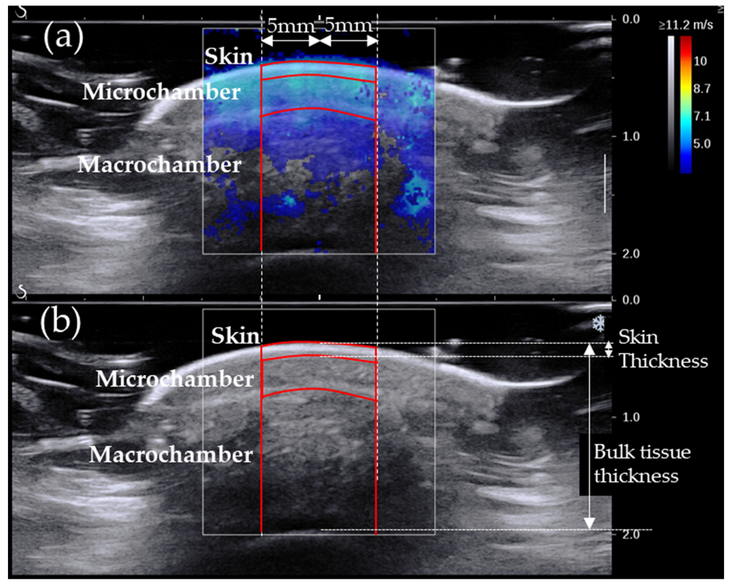 Sensors 24 00539 g002