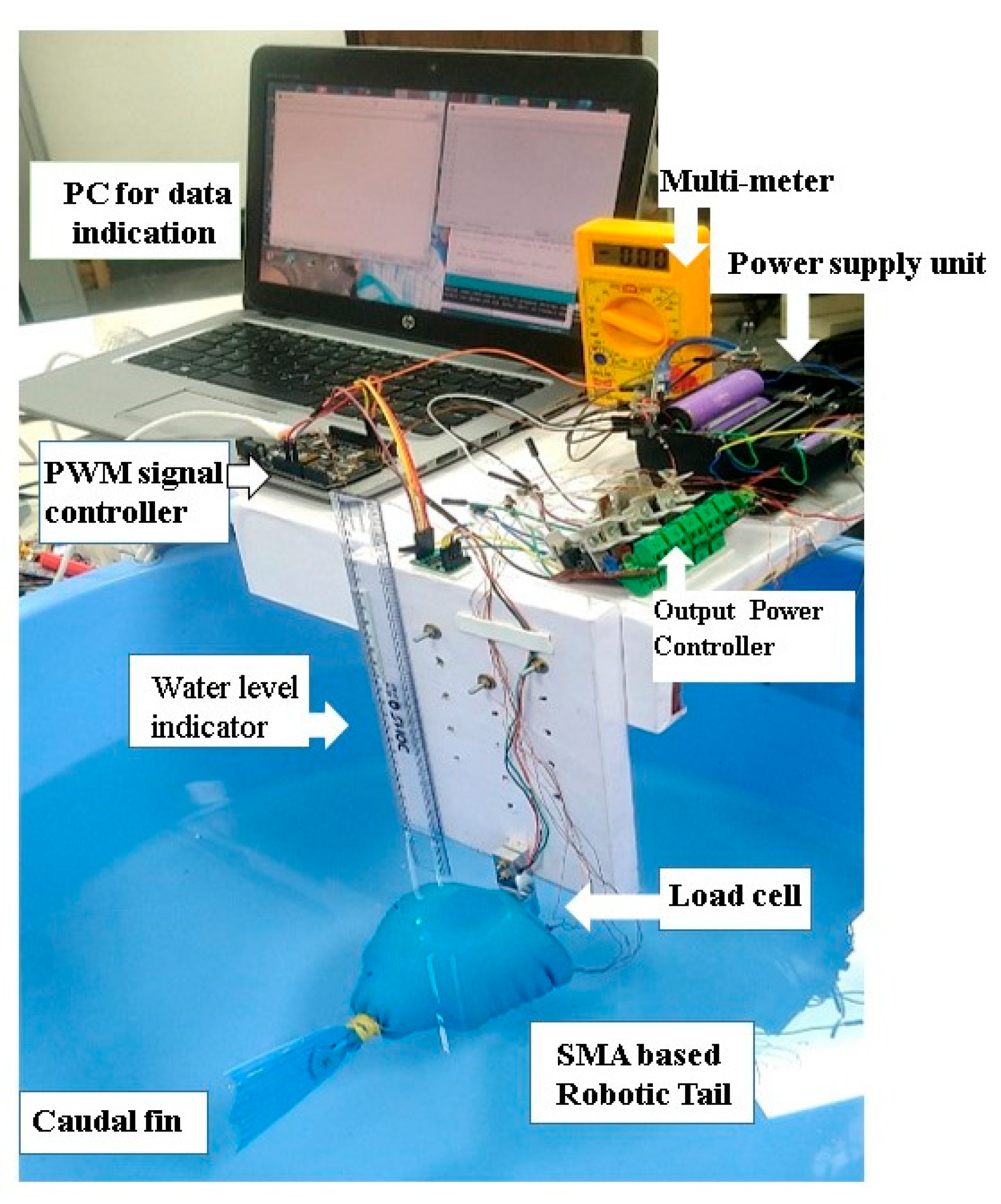 Sensors 24 00544 g003