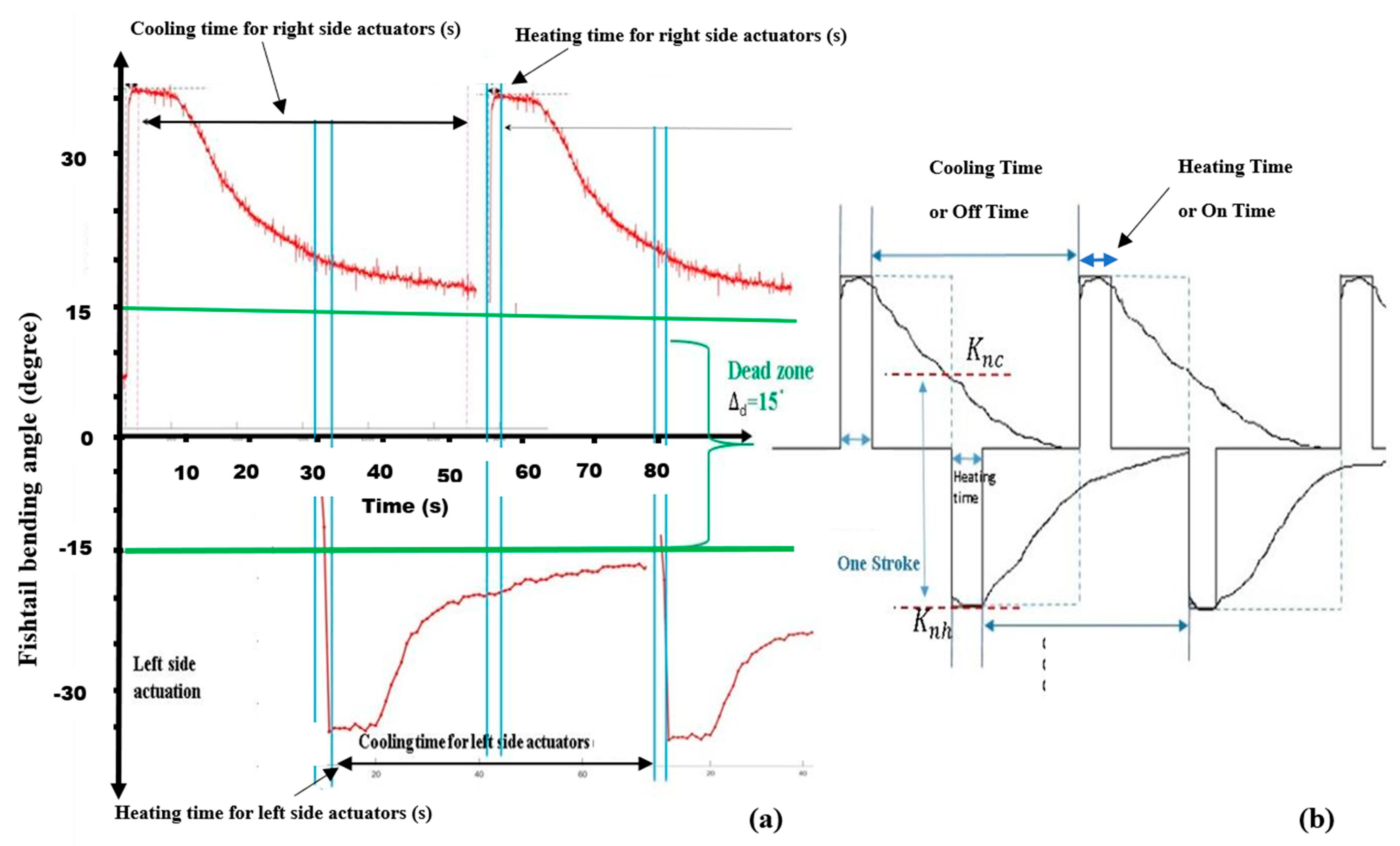 Sensors 24 00544 g006