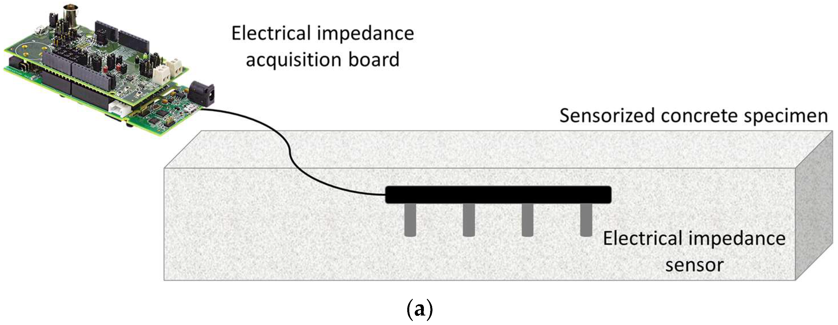 Sensors 24 00572 g001a