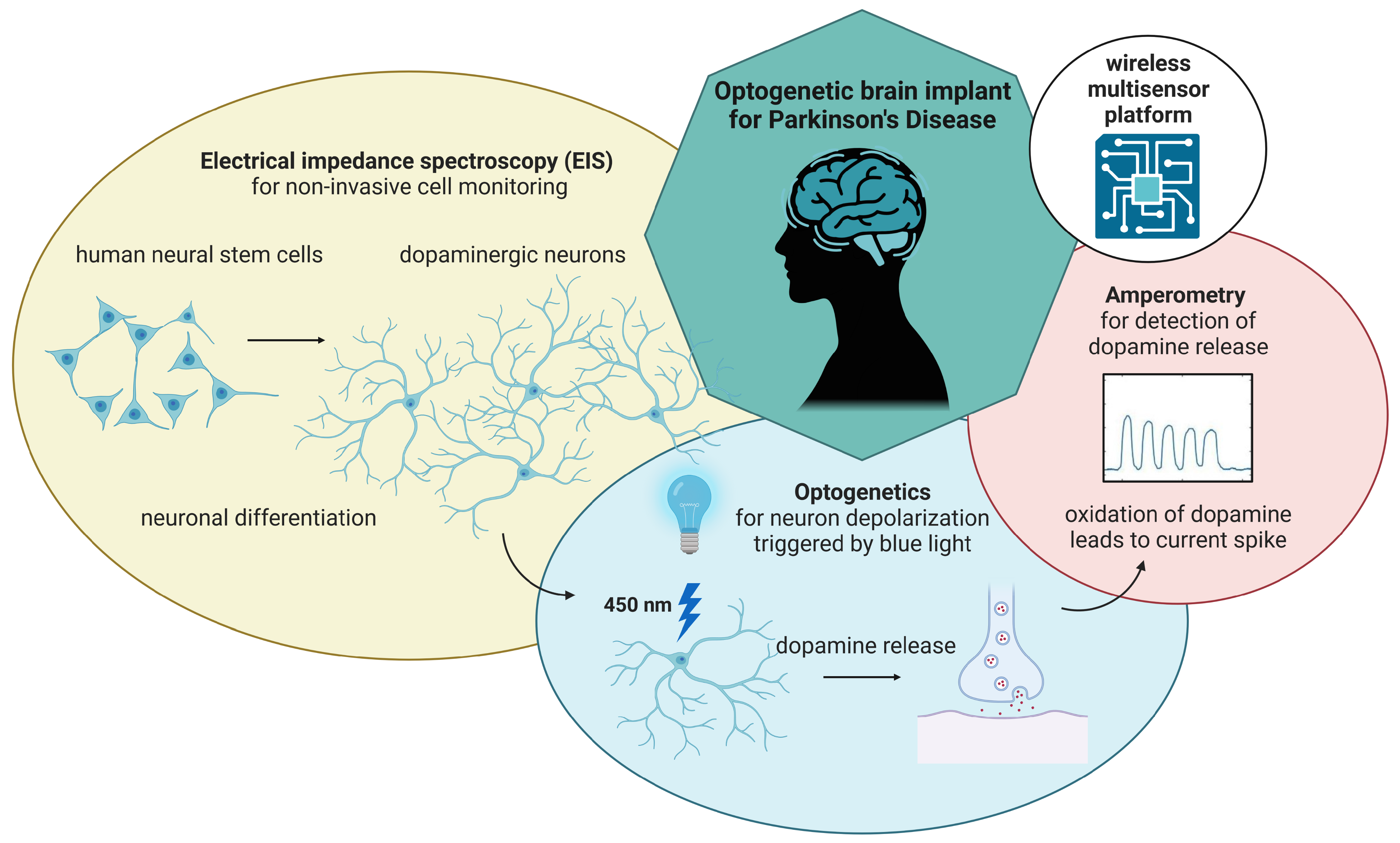 Sensors 24 00575 g001
