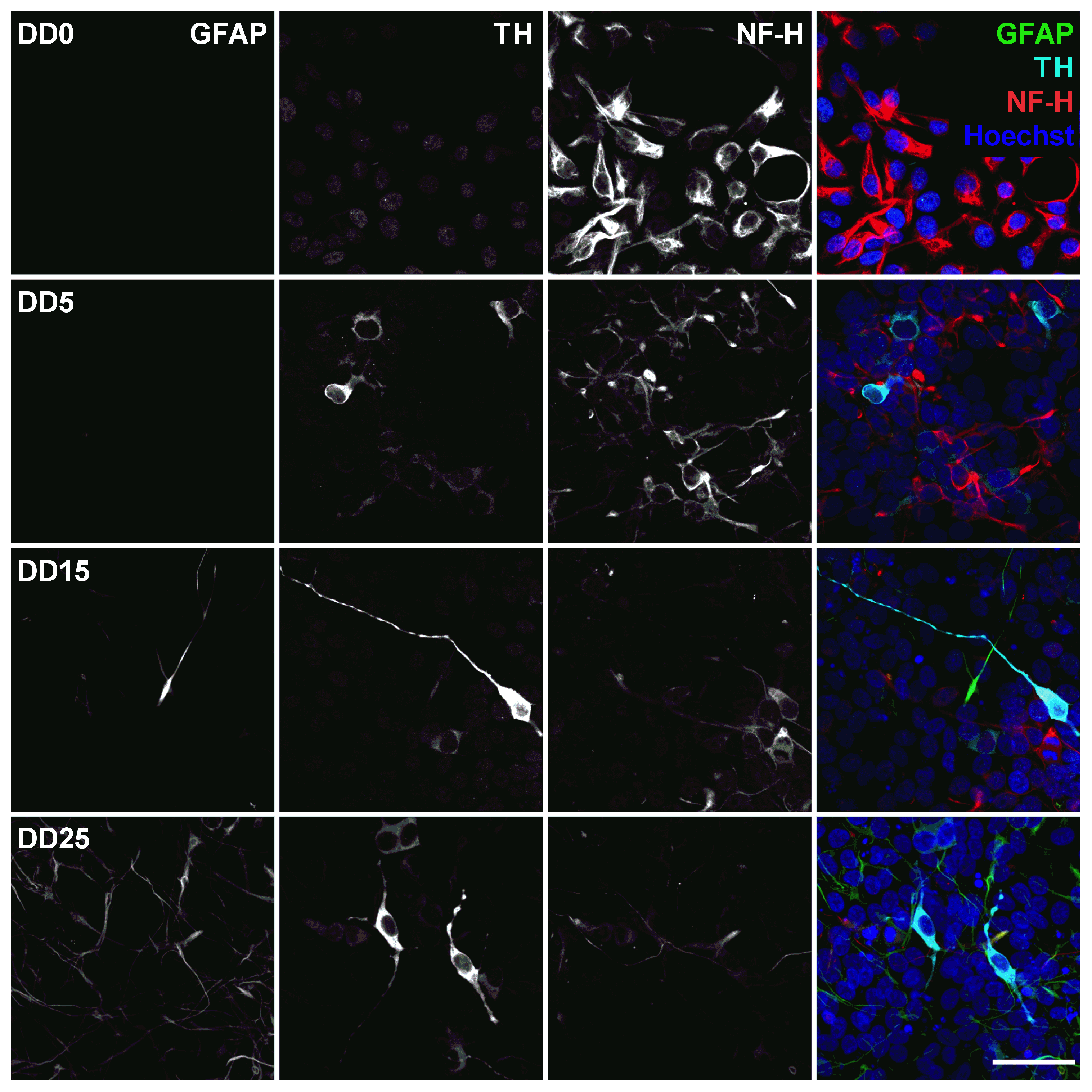 Sensors 24 00575 g008