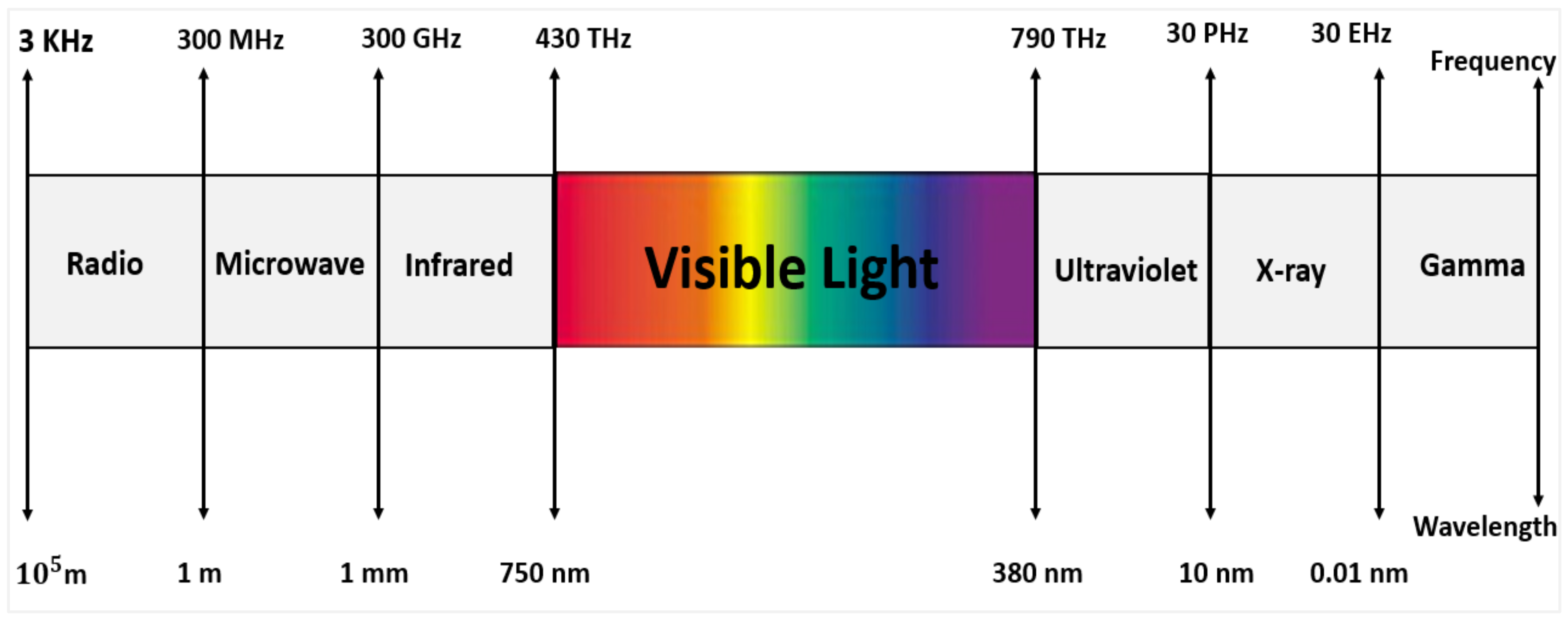 Sensors 24 00598 g001